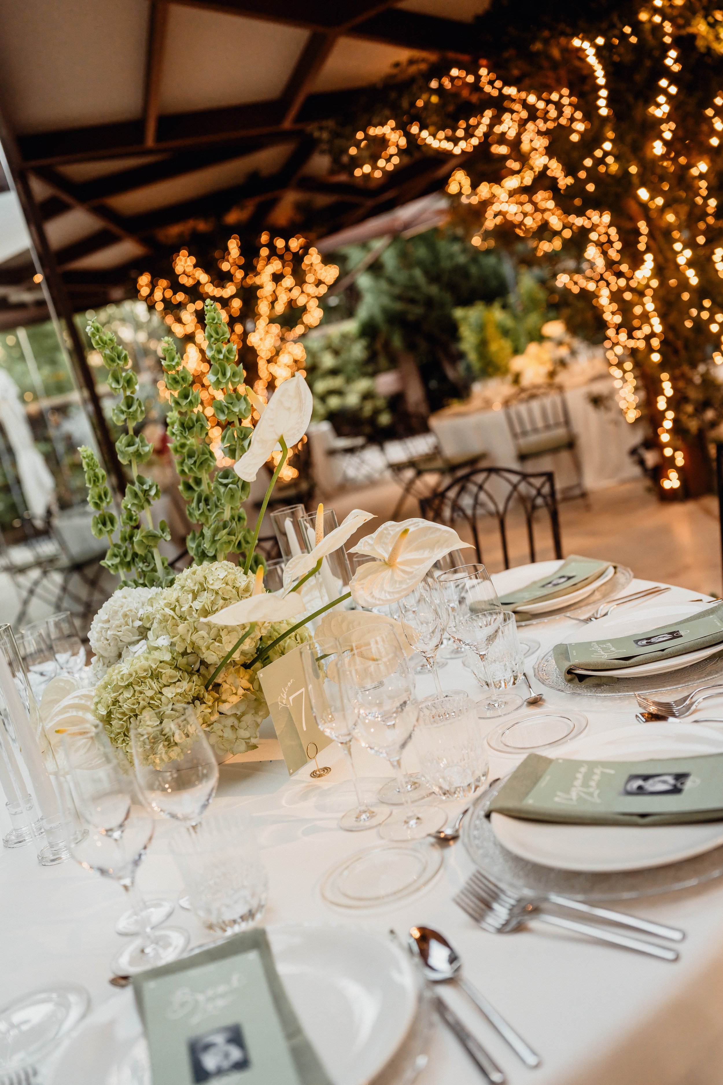 Y&Hphoto256.jpg
