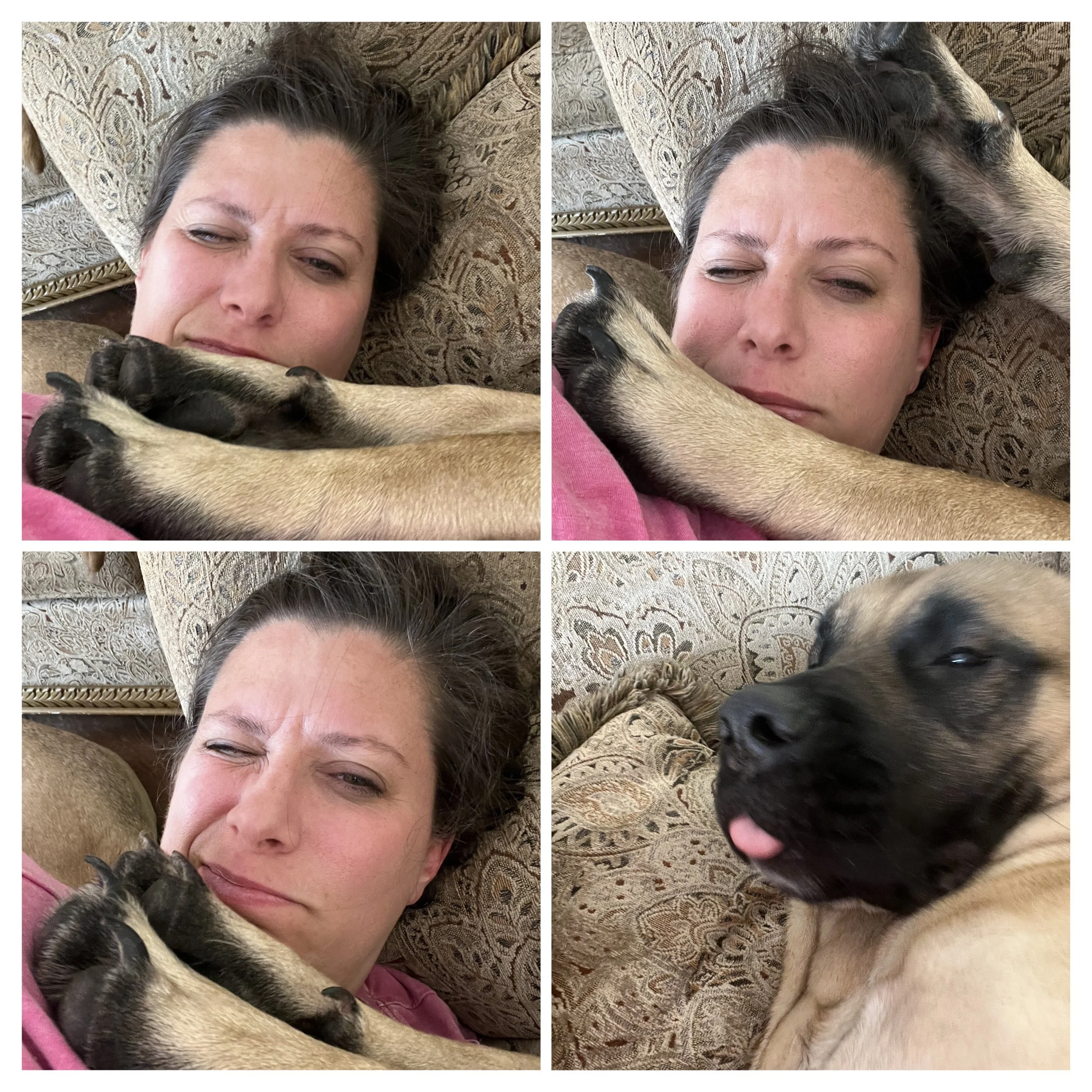 large breed cuddles.jpg