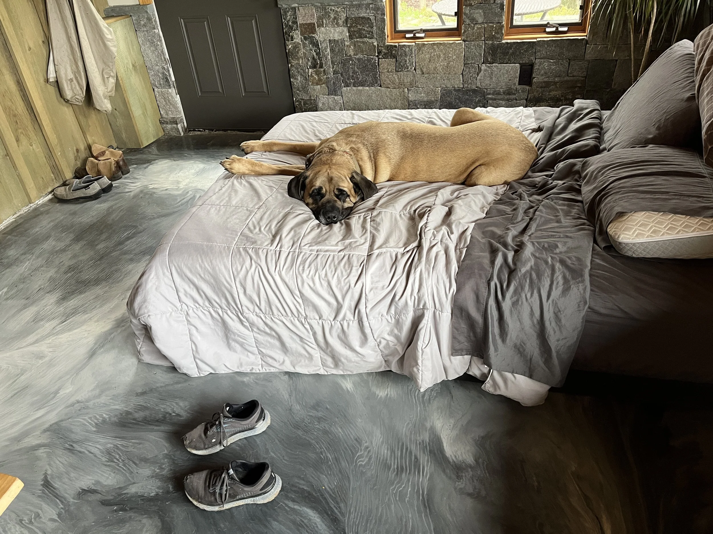 stay at your home.JPG