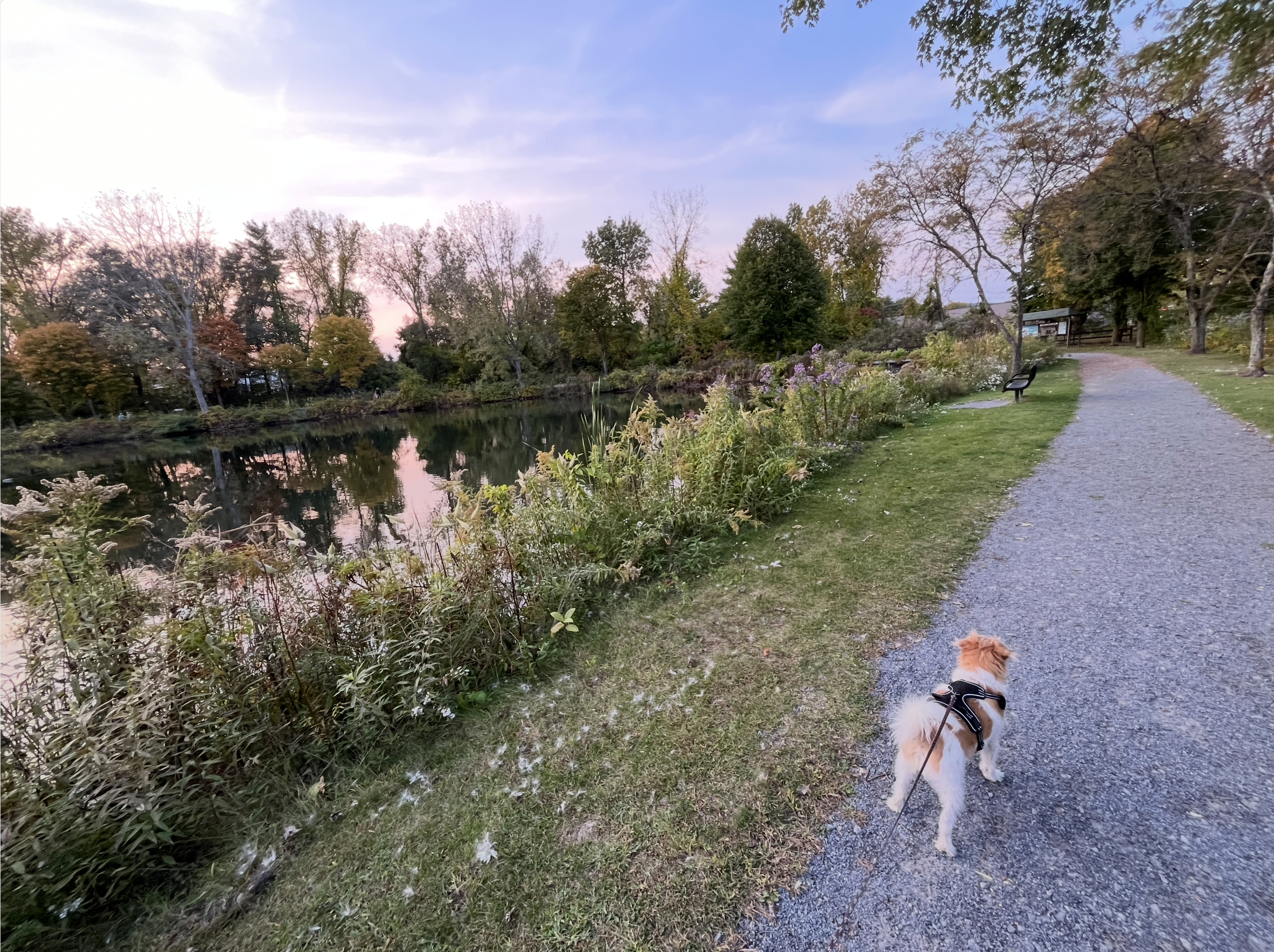 Screenshot 2026-04-14 at 5.25.24 PM.png