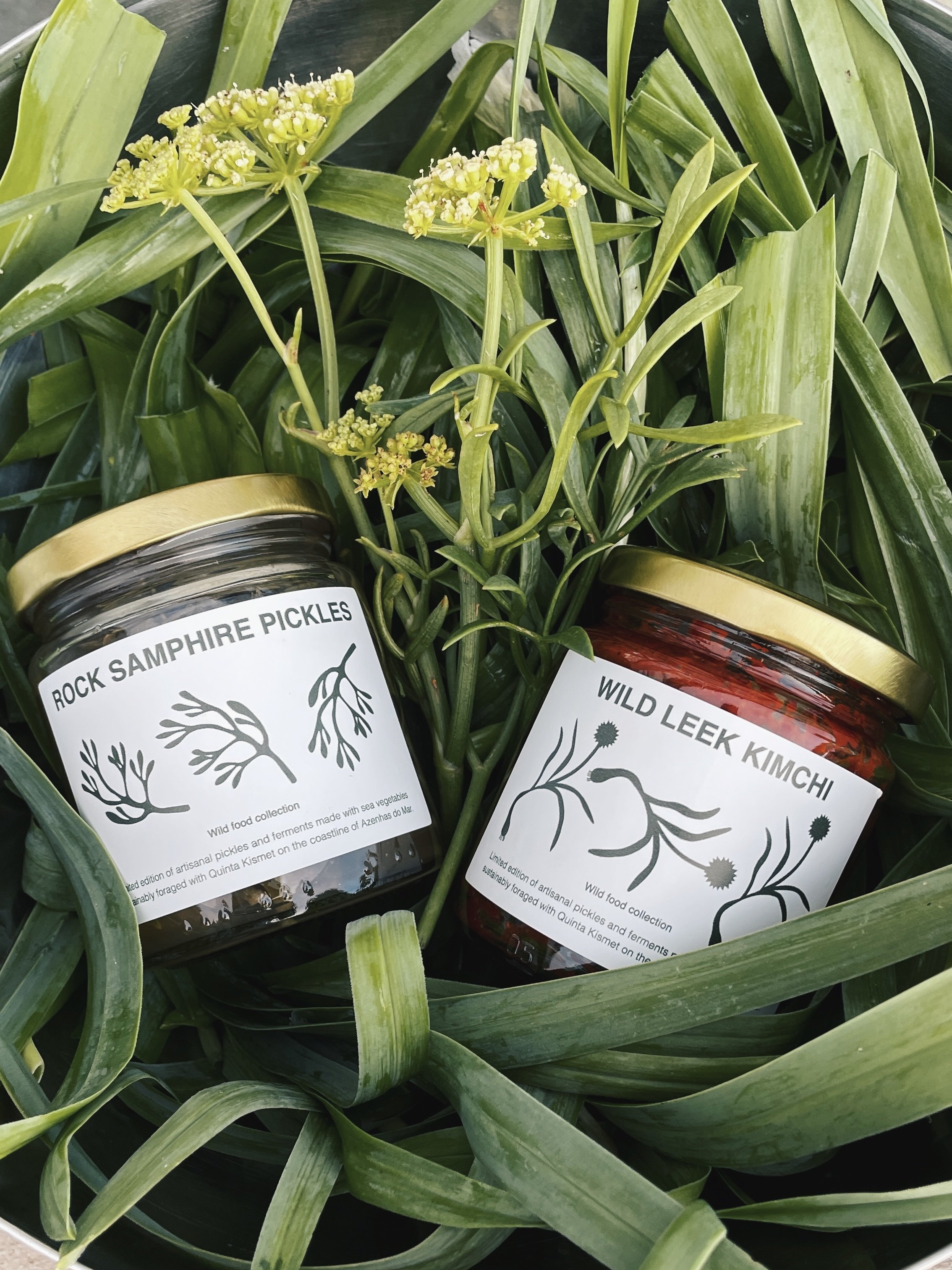 Ou collaboration with Quinta Kismet