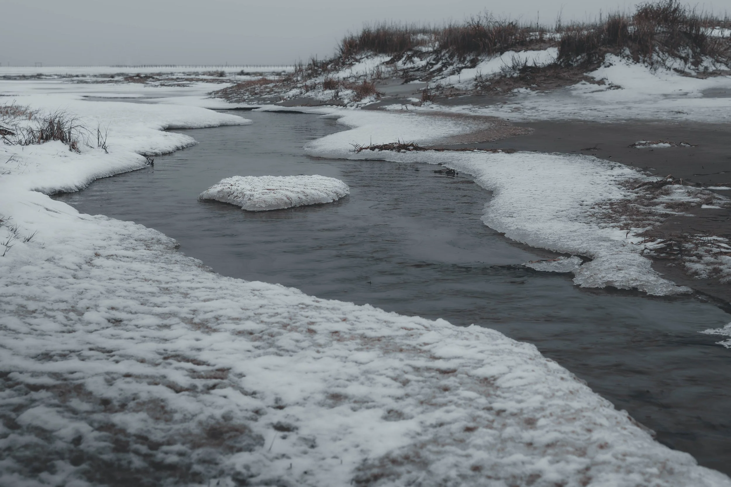Zwischen Eis und Wasser
Winterliche Küstenlandschaft mit aufbrechendem Eis, fließendem Wasser und schneebedeckten Dünen. Die geschwungenen Uferlinien führen durch die zurückhaltende, fast farblose Landschaft.