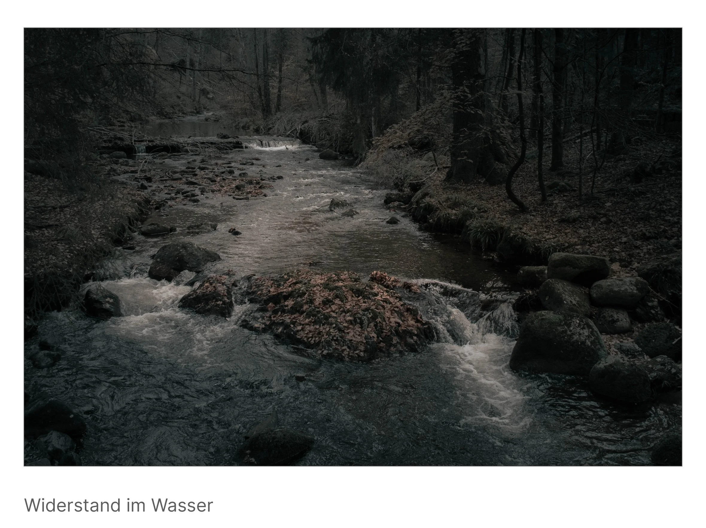 Ein einzelner Felsen trotzt der Strömung eines Waldflusses – Sinnbild für Standhaftigkeit mitten im Fluss des Lebens.