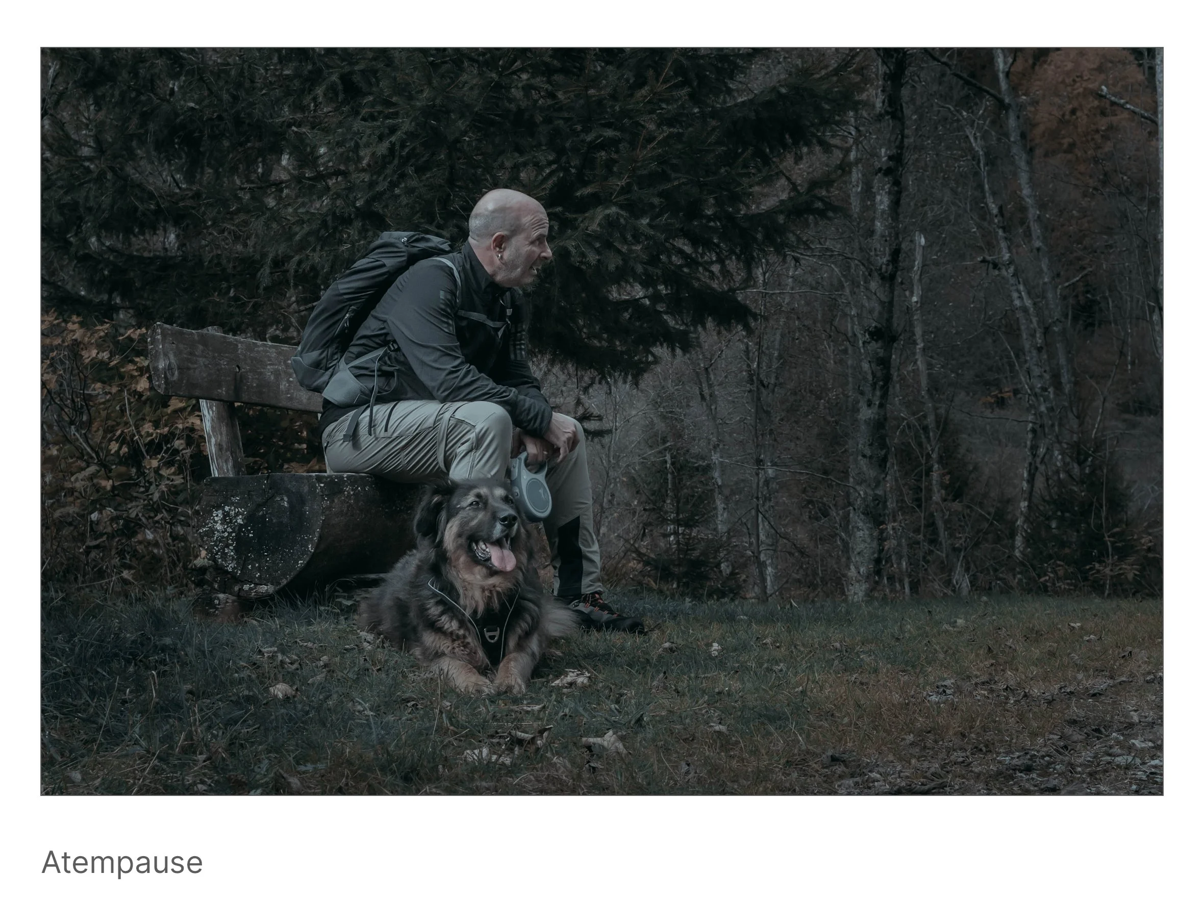 Ein Wanderer sitzt mit seinem Hund auf einer Holzbank am Waldrand, beide in friedlicher Einkehr unter stillem Licht.