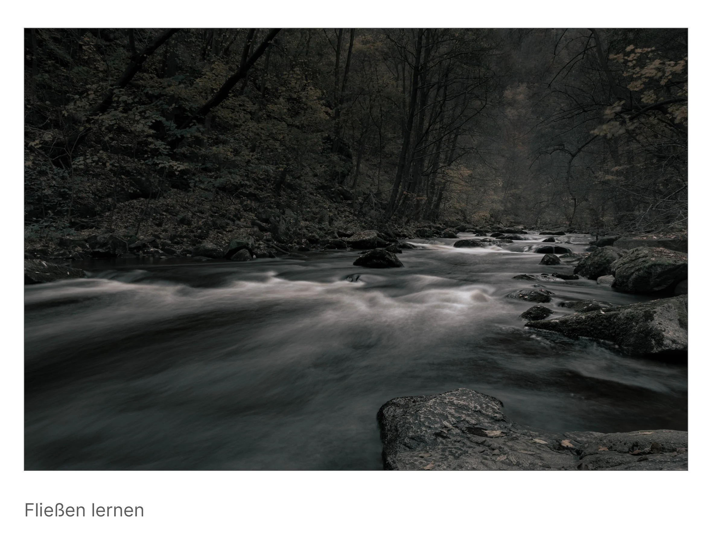 Weicher, langbelichteter Flusslauf durch herbstlichen Wald – Symbol für Loslassen, Bewegung und Geduld.