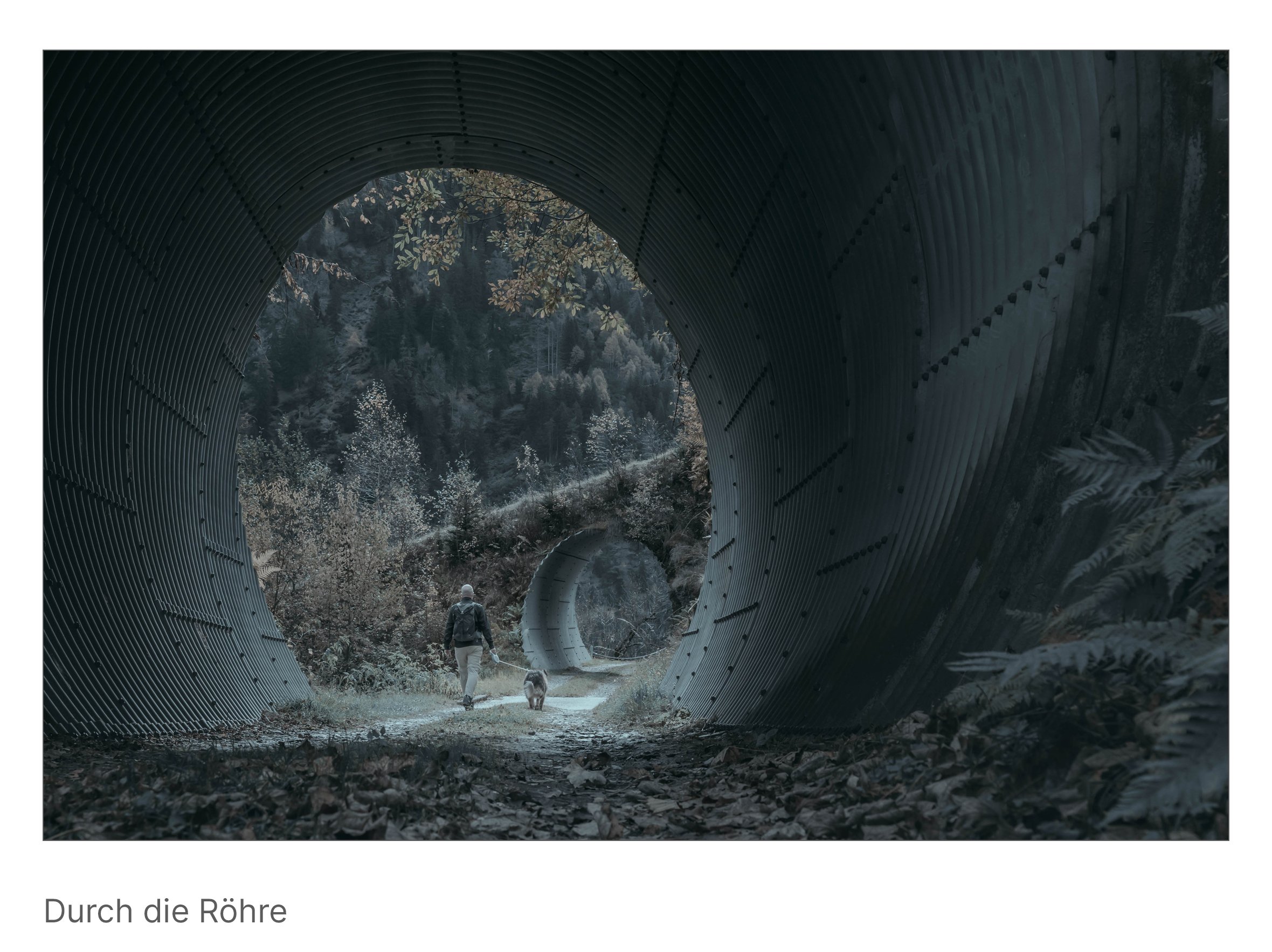 Ein Mann mit Hund durchquert eine große Betonröhre, das Licht am Ende taucht die Szene in melancholisches Silber.