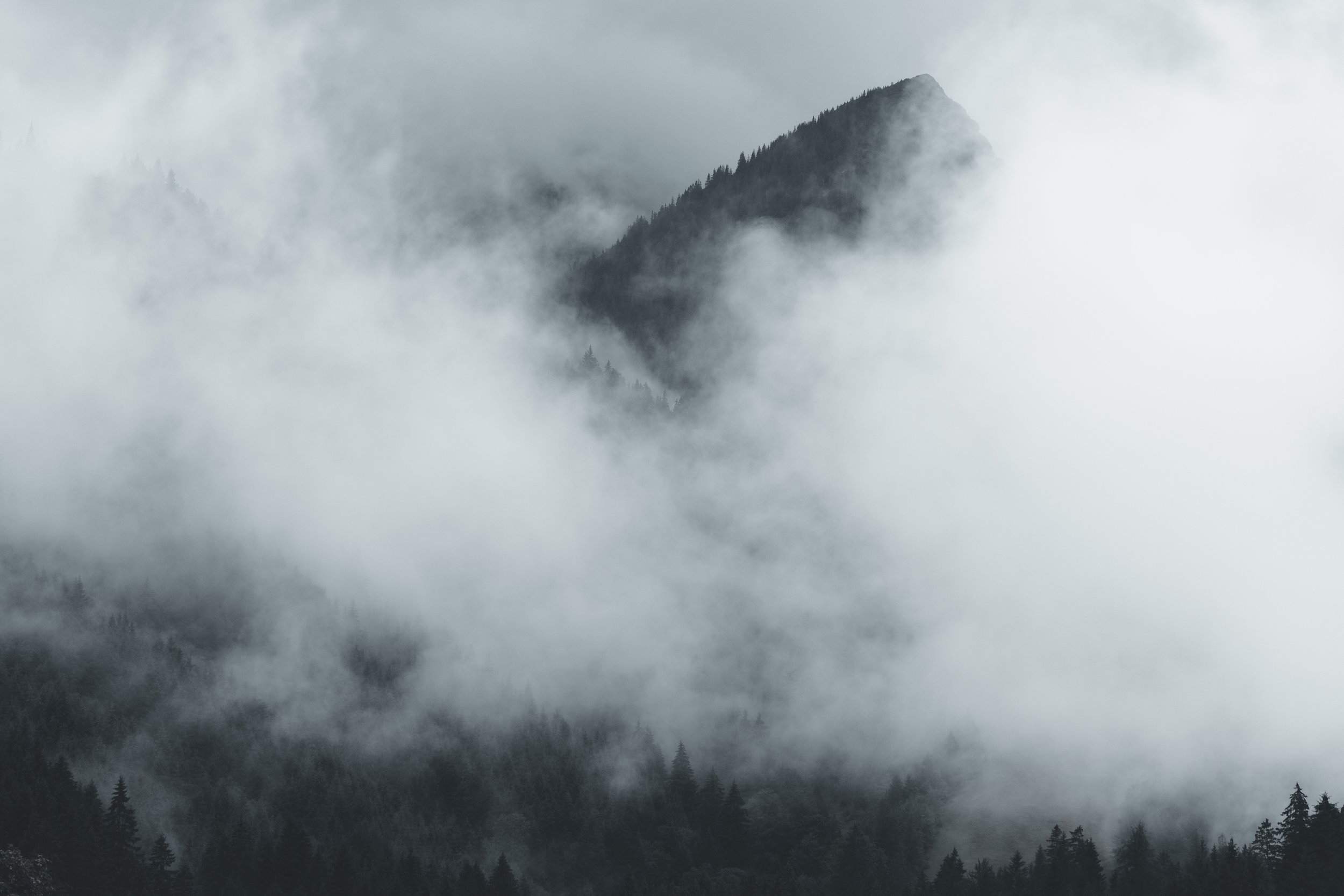 Berggipfel im Nebel
Berggipfel und bewaldete Berghänge zwischen dichtem Nebel – atmosphärische Bergfotografie von ReBlick.