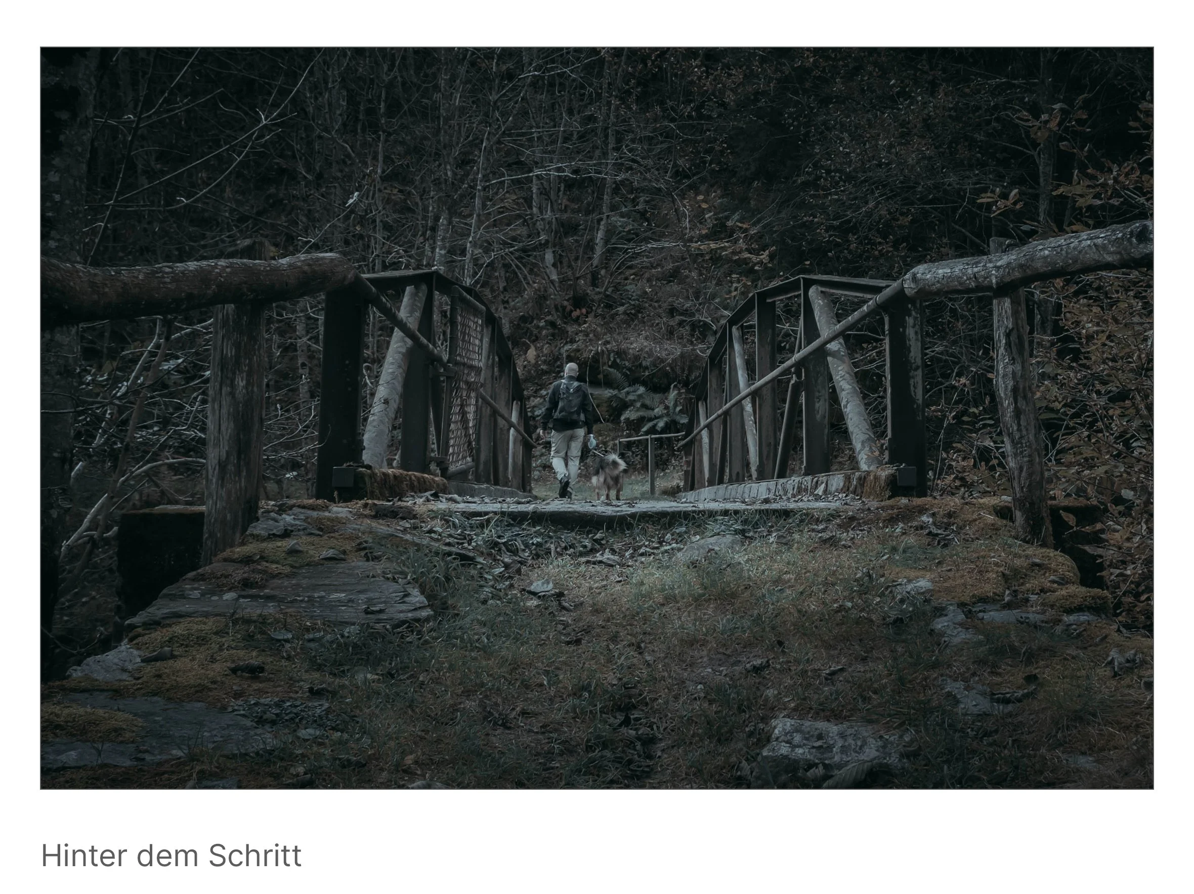 Ein Mann mit Hund überquert eine alte Holzbrücke im Wald, der Weg verliert sich im Schatten vergangener Wege.