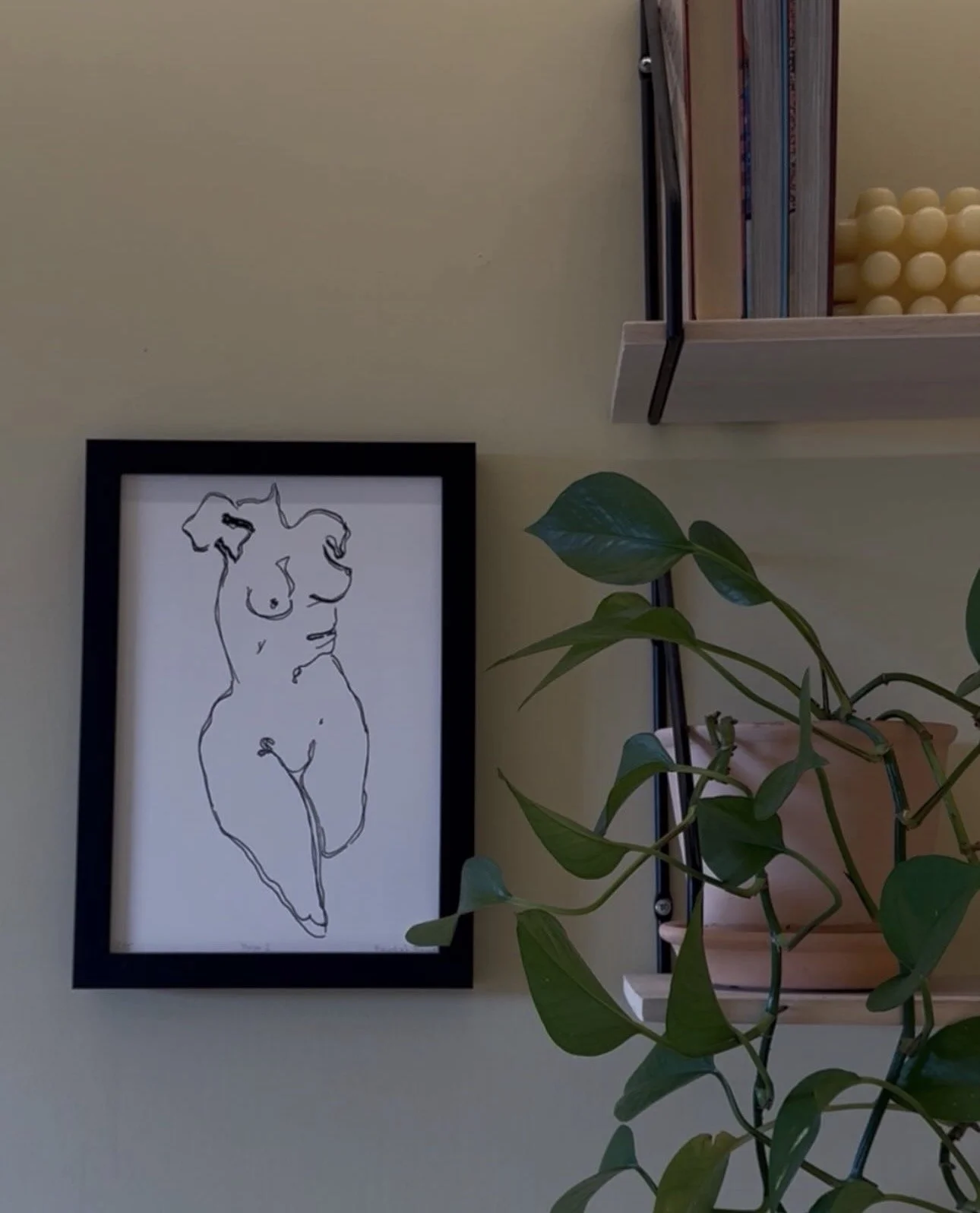 Torso