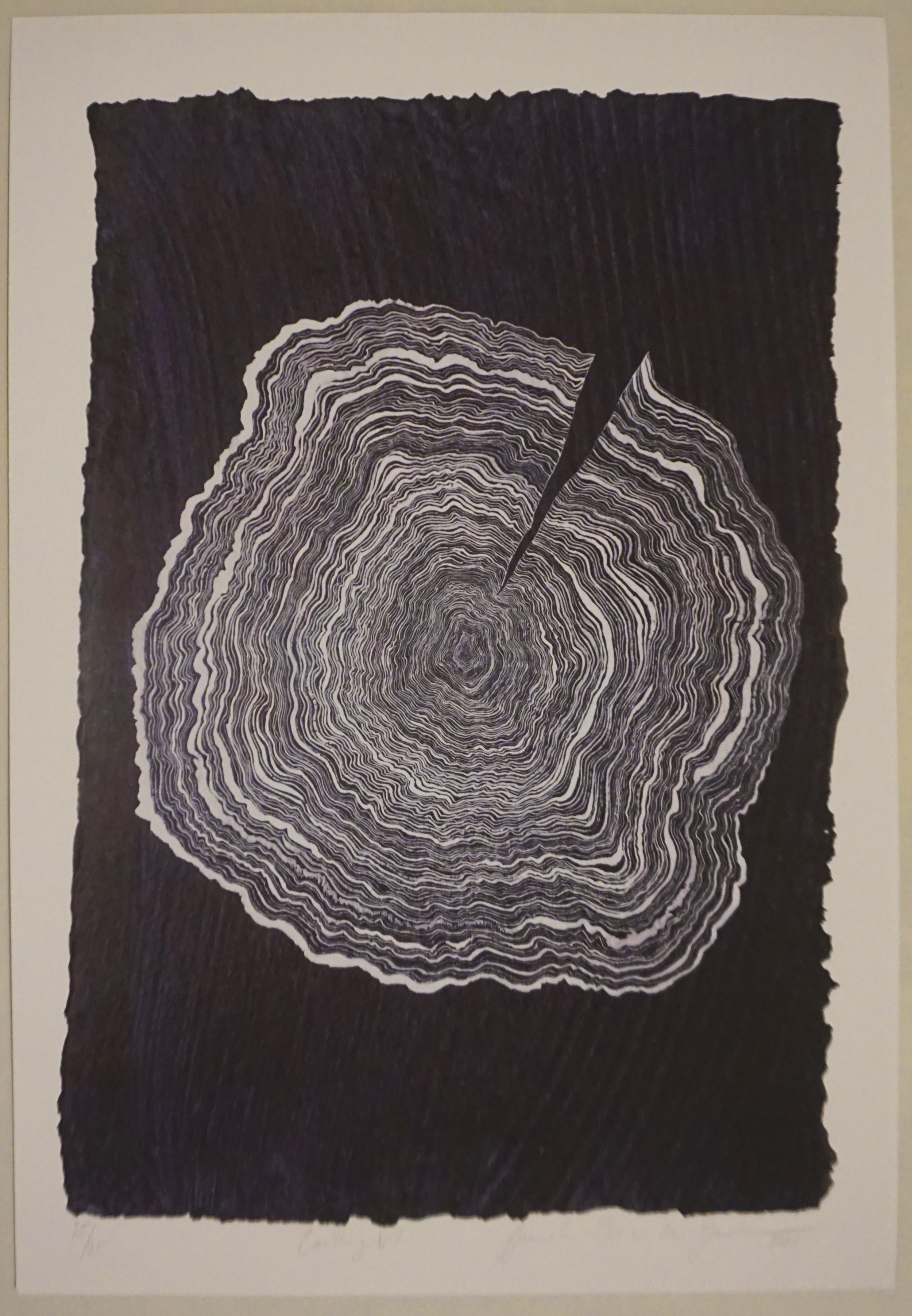 Earthing VI print.png