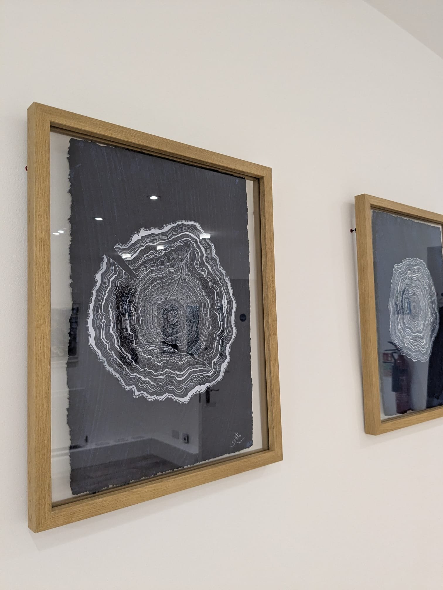 Earthing IV (gallery).jpeg