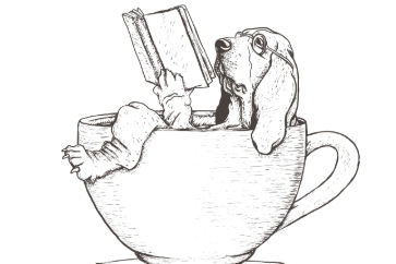 Ribbon Cutting + Grand Reopening Celebration