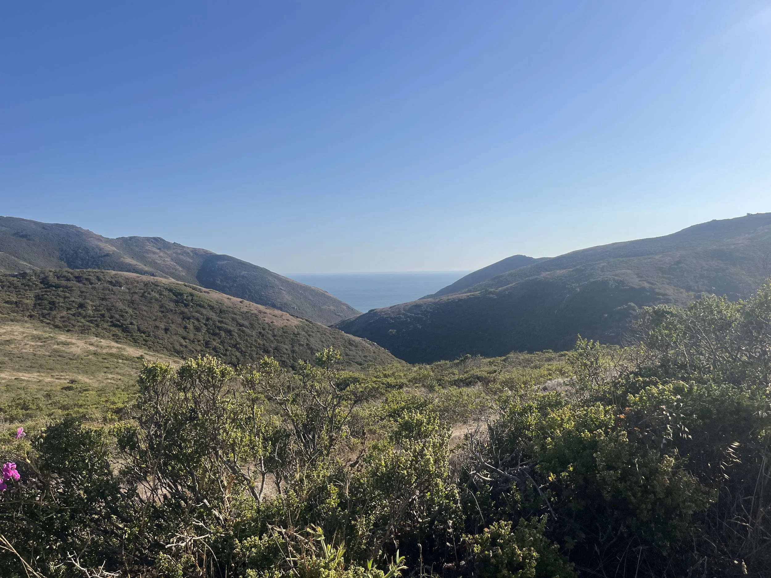 Scenic view of rolling hills covered with shrubs and bushes, leading to distant mountains with the ocean visible beyond them under a clear blue sky.