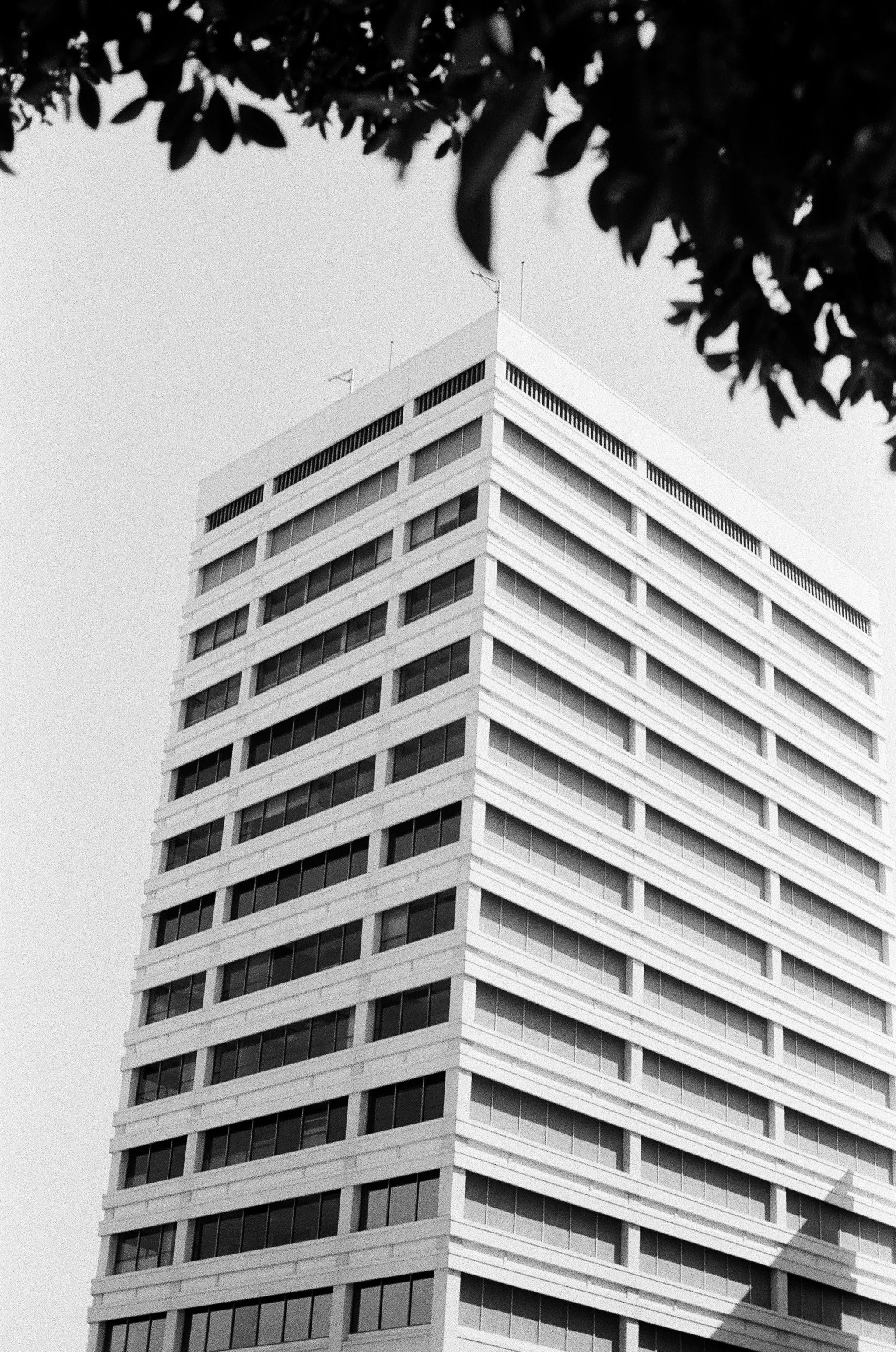 843327_0037.jpg