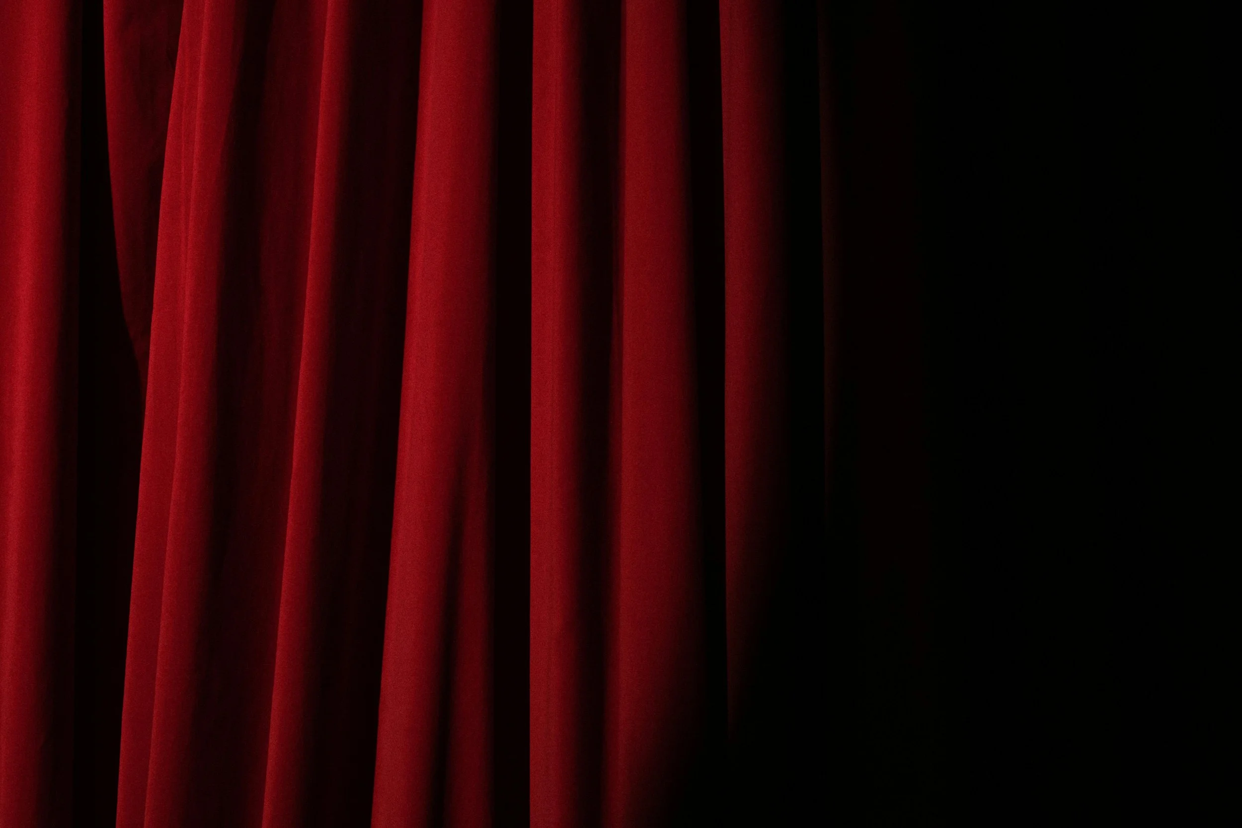 Professional Actor(s)