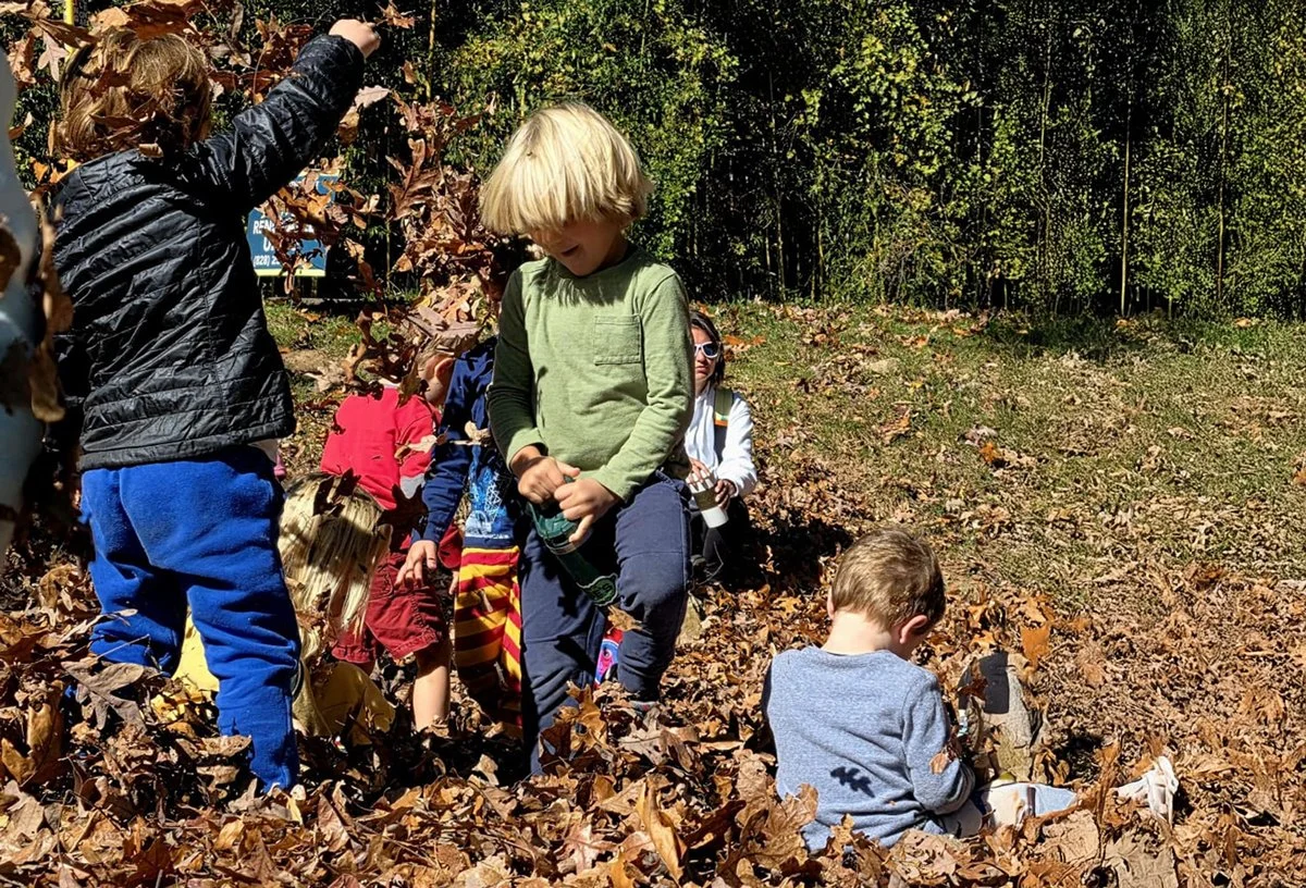 November 2025 Newsletter