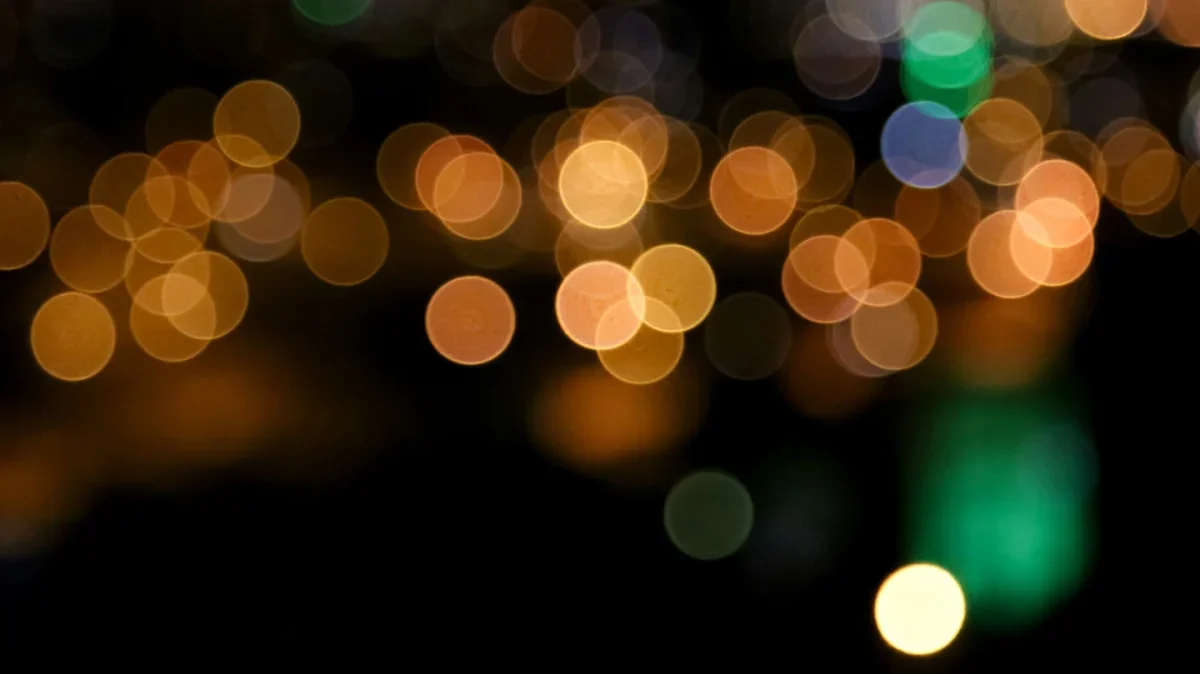 Winter Gala: Seasons of Community, Festival of Lights