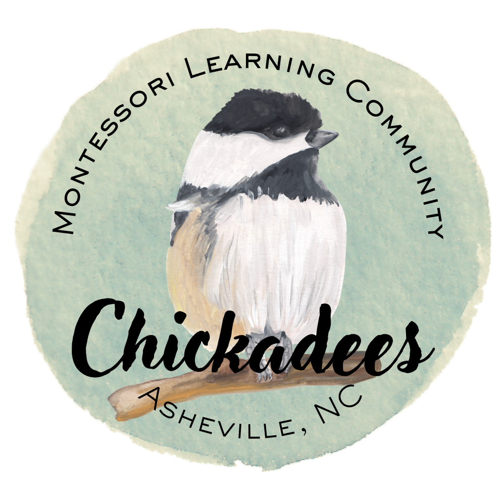 Program Introduction: Chickadees