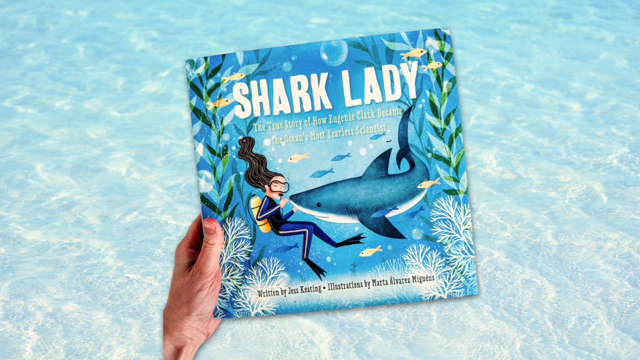 25 Shark Lady Activities