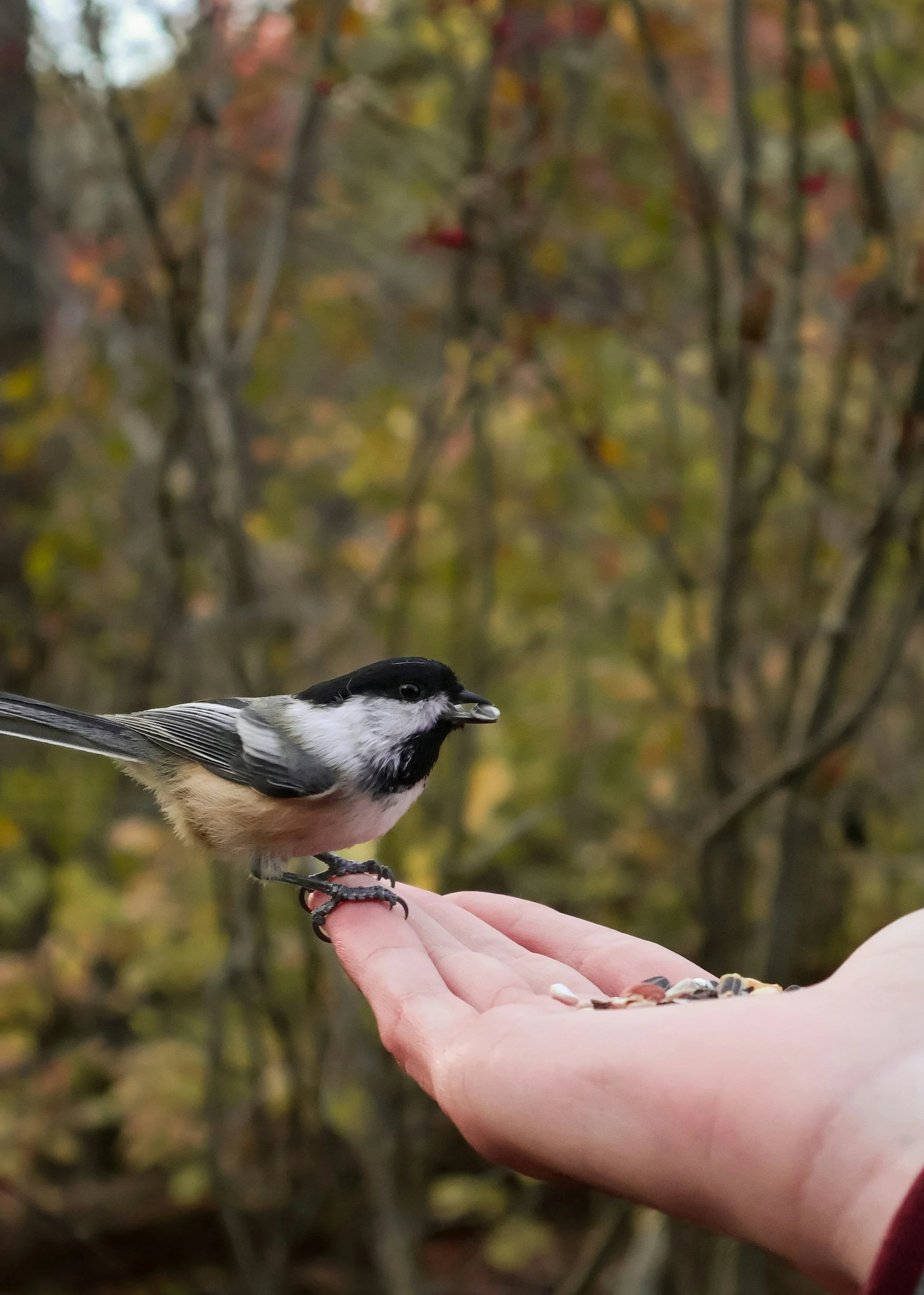 29 Things You Don’t Have to Do This Year End