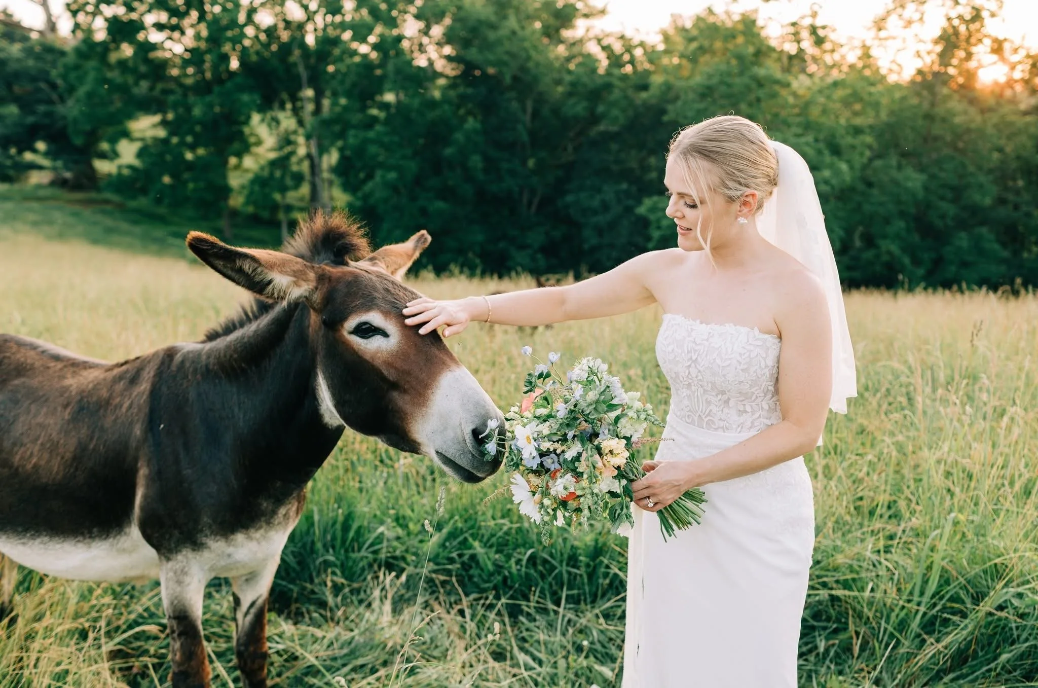 A bride in a white wedding dress petting a donkey in a grassy field during sunset.