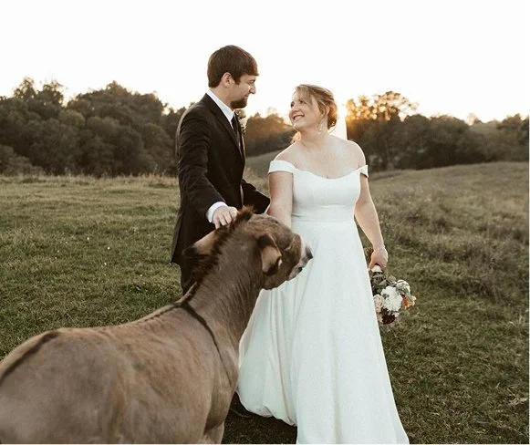 A bride and groom holding hands and smiling at each other on their wedding day outdoors, with a lion resting nearby in a grassy field during sunset.
