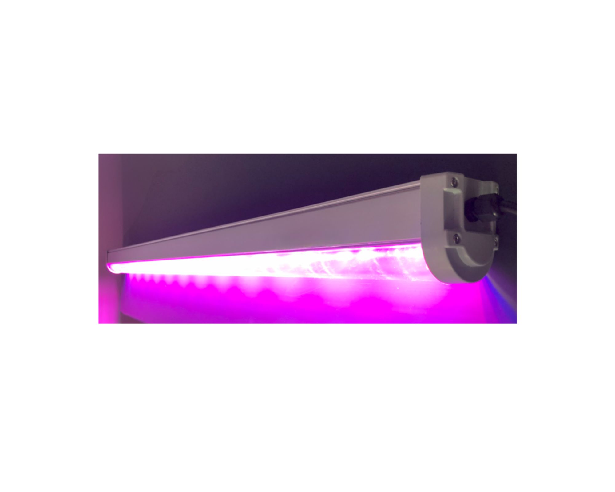 greent-type-1.png (Copy)