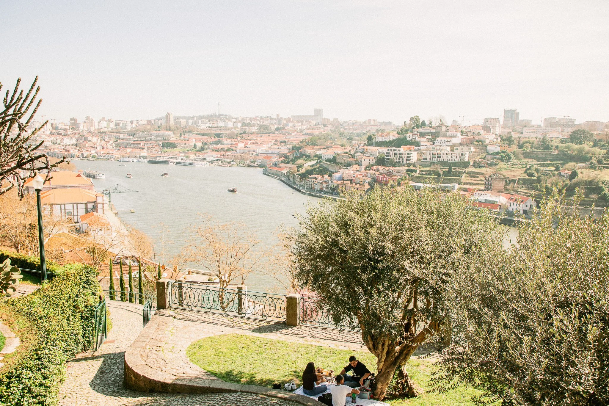 A scenic view of a city with a waterway, hillside buildings, and a clear sky. In the foreground, a park with a large tree, a stone-bordered circular area, and people sitting on a blanket.