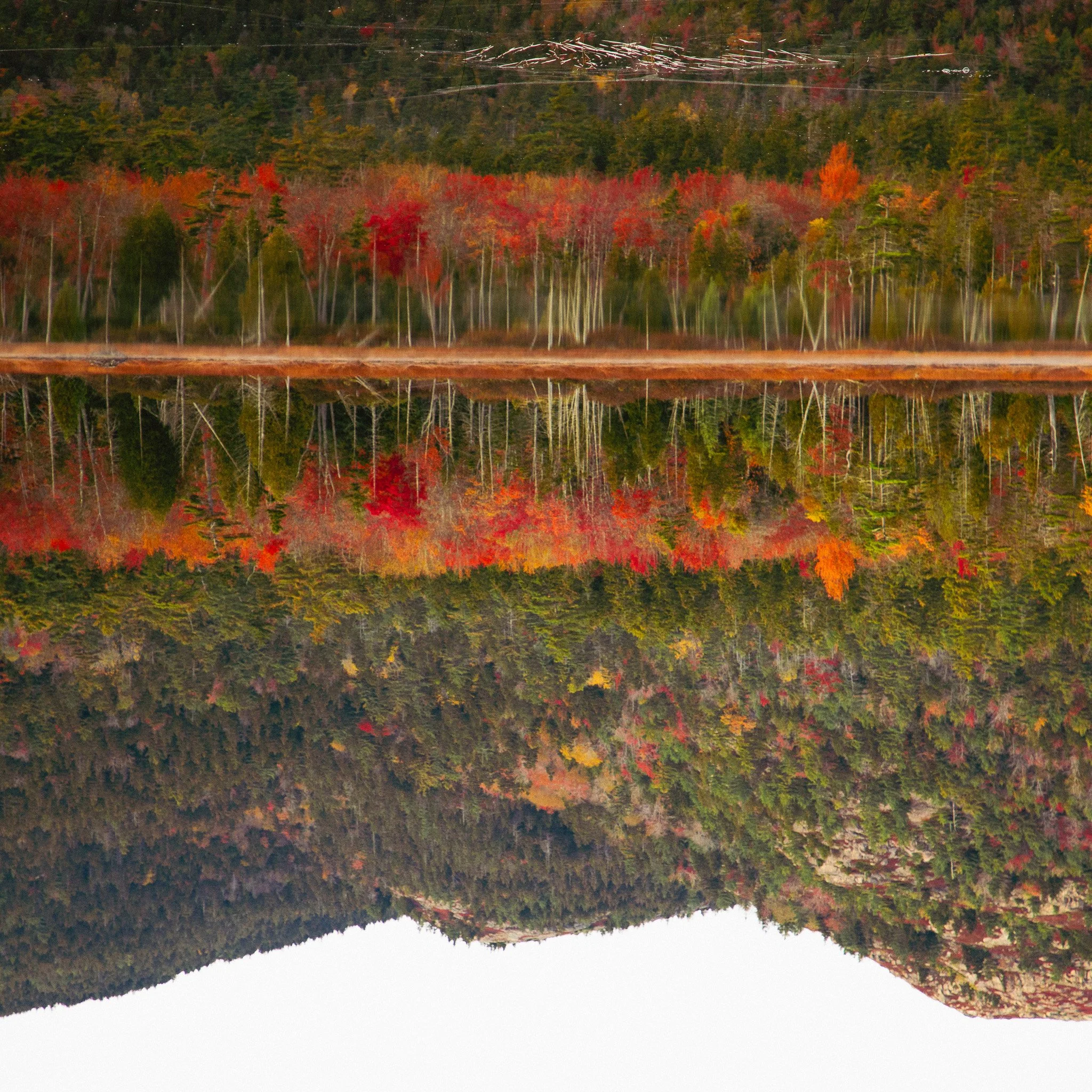 Autumn trees with colorful fall foliage reflected in a calm lake.