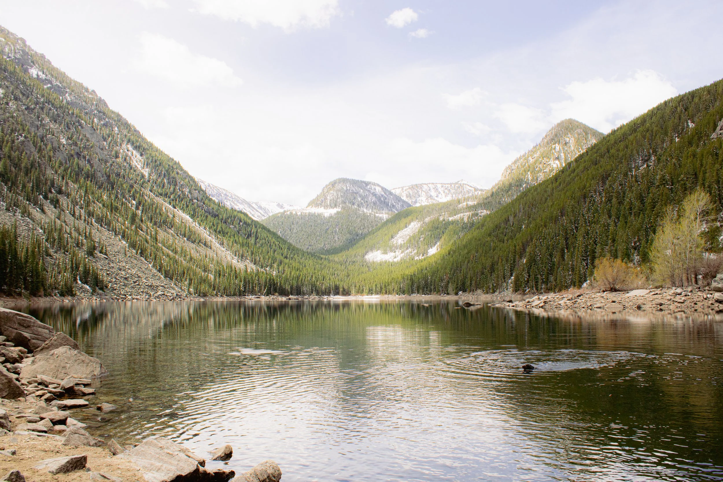 A serene mountain landscape with snow-capped peaks, dense evergreen forests, and a calm reflective lake in the foreground.
