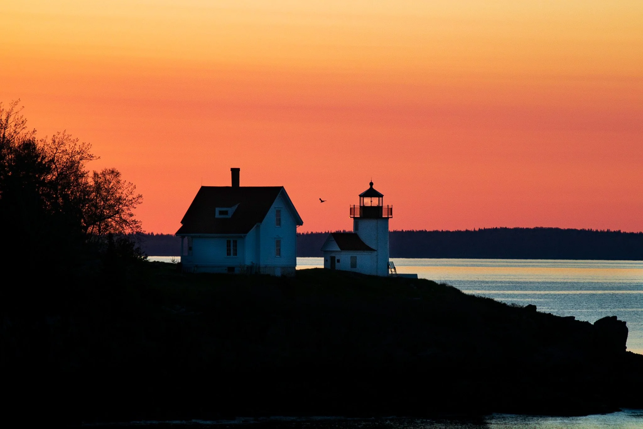 A seaside scene during sunset with a lighthouse and a house silhouette, trees on the left, water in the background, and a bird flying near the lighthouse.