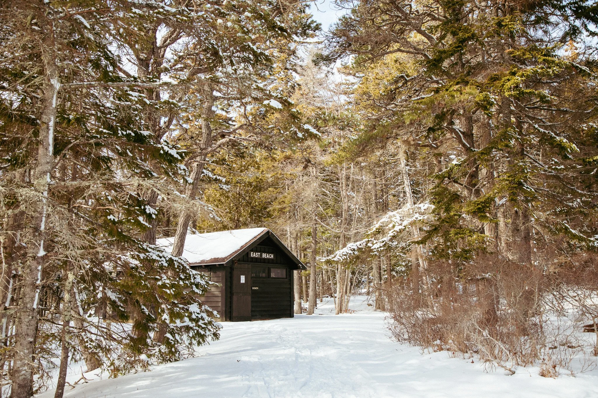 A small wooden building with a sign that reads 'East Beach' surrounded by snowy ground and tall evergreen trees.
