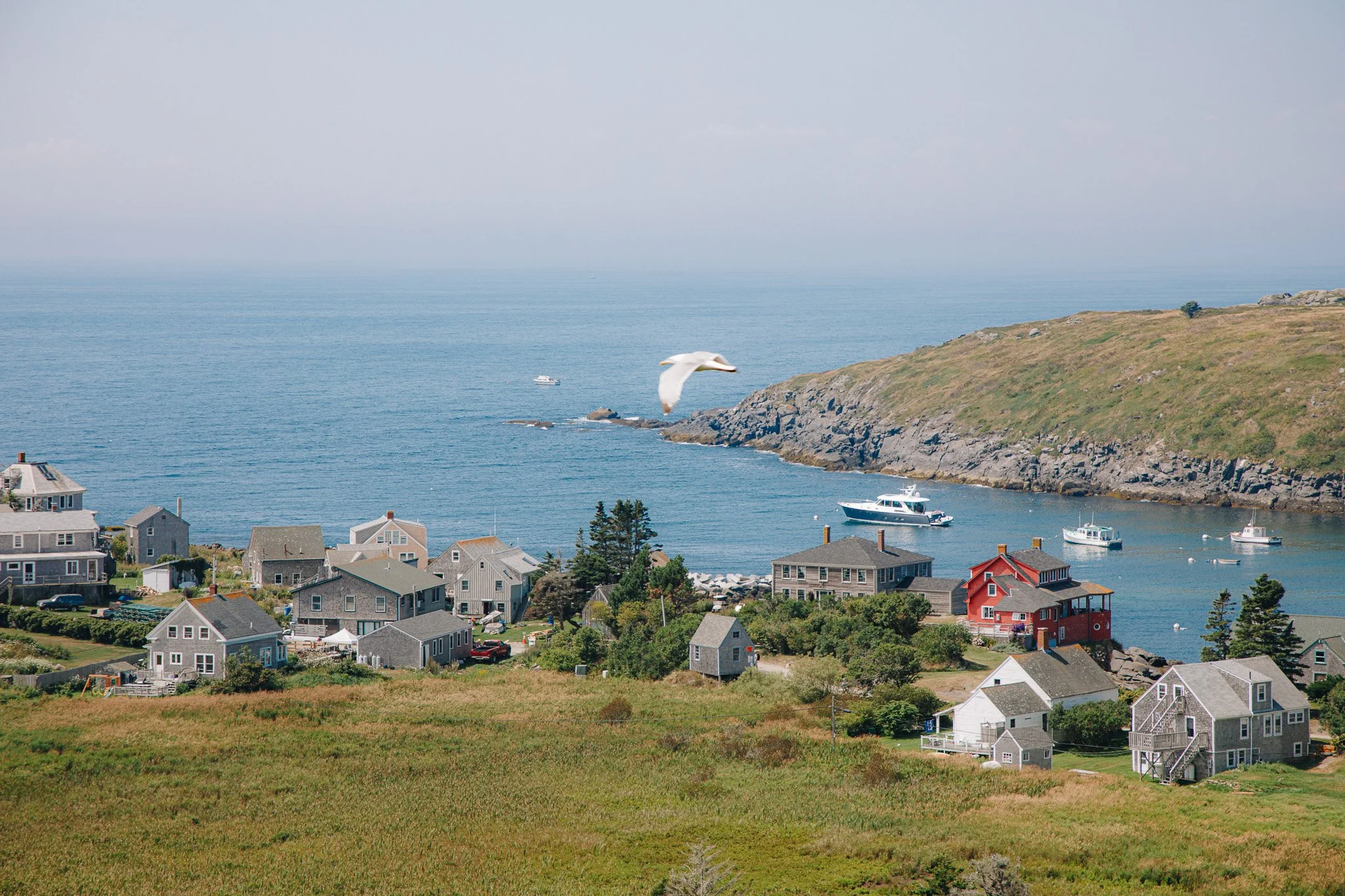 A coastal village with houses on a hillside overlooking the ocean. Several boats are docked in a small harbor. A bird is flying over the water near a rocky shoreline.