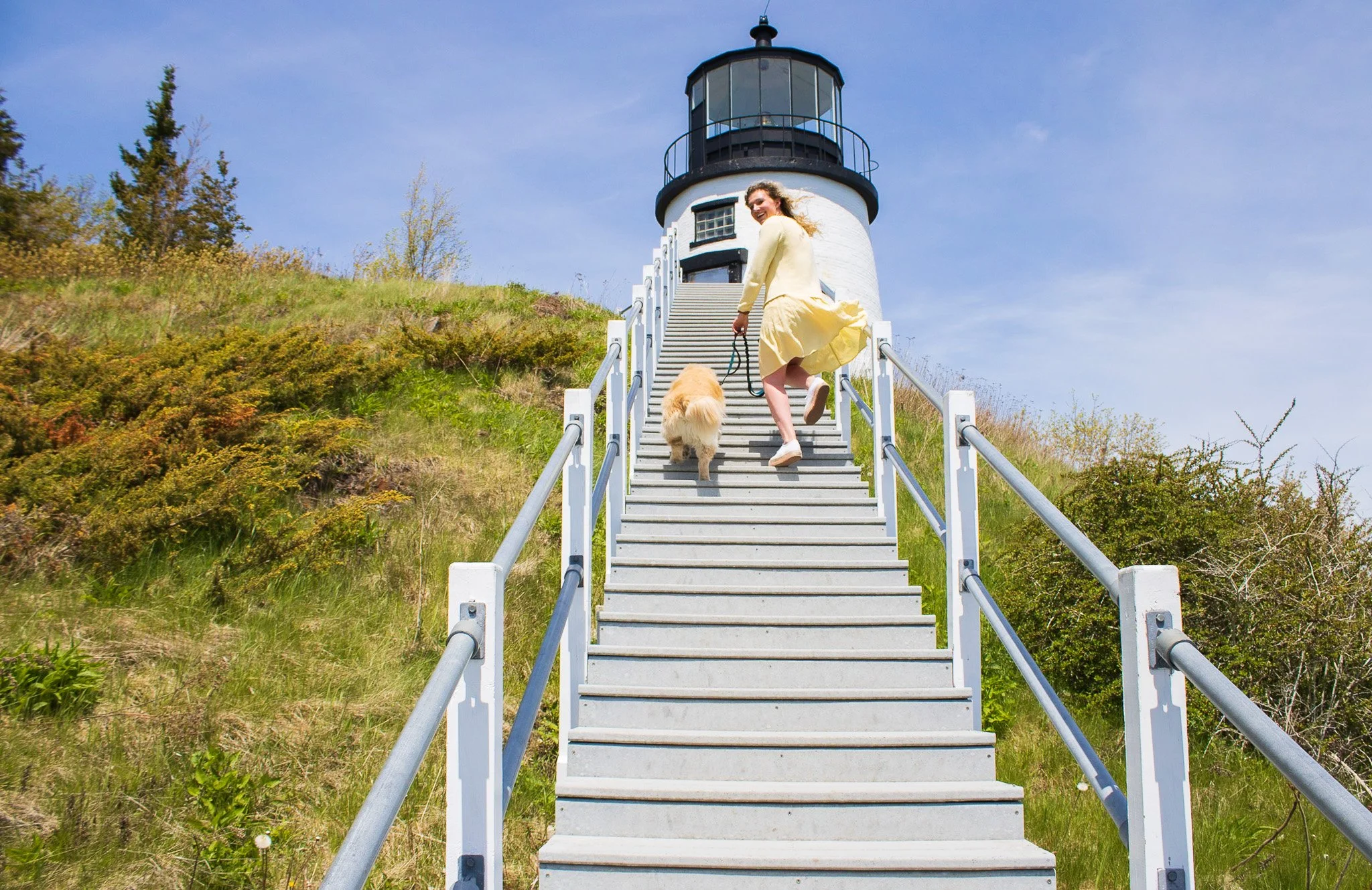 A woman in a yellow dress and cardigan is walking up a set of stairs outside a lighthouse during daytime, holding a dog leash. The sky is blue with some clouds, and the area around the lighthouse is grassy with trees.