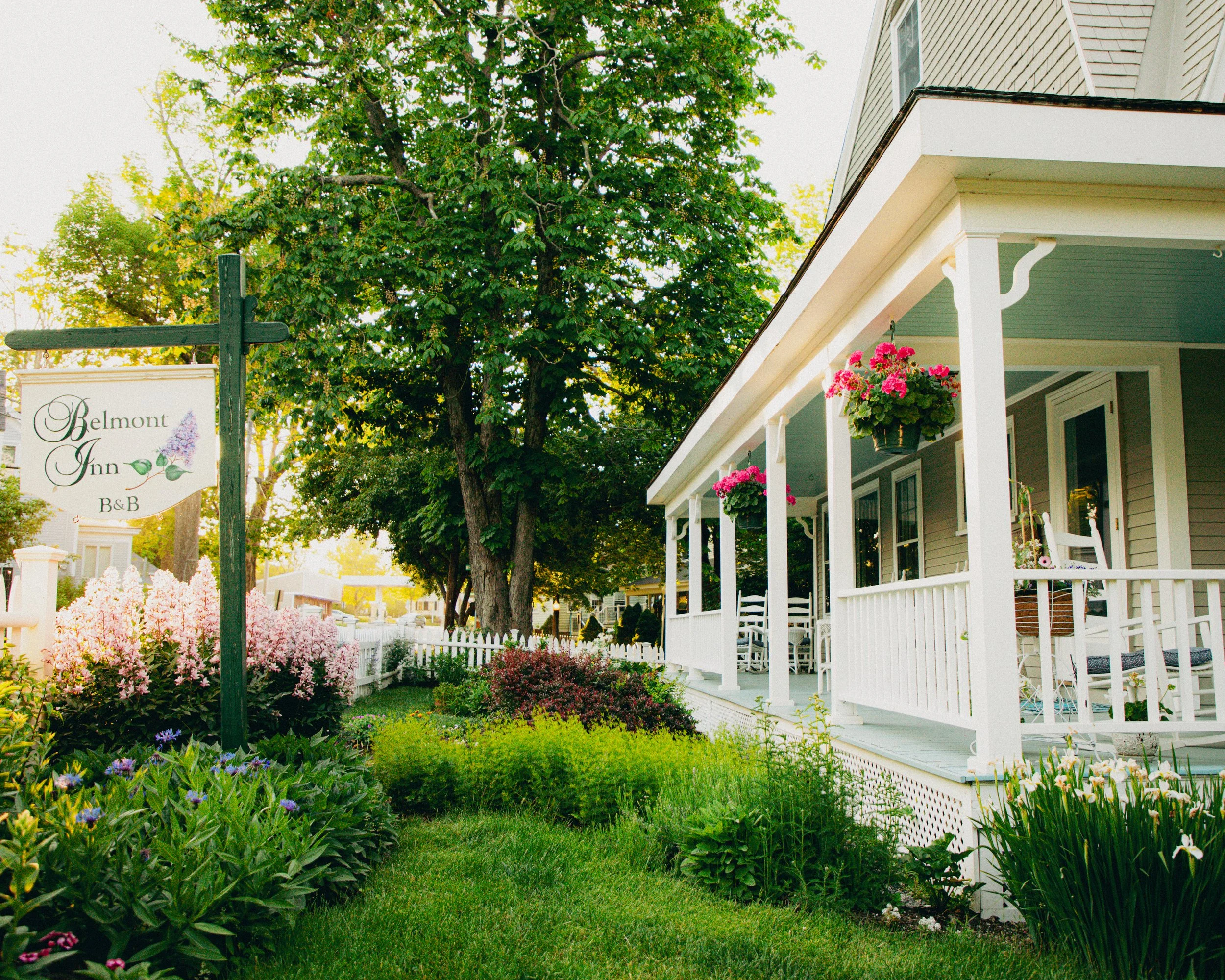 Front porch of a house with hanging flower baskets, surrounded by a lush garden with various colorful flowers and greenery, large tree in the background, and a sign for Belmont Inn B&B.