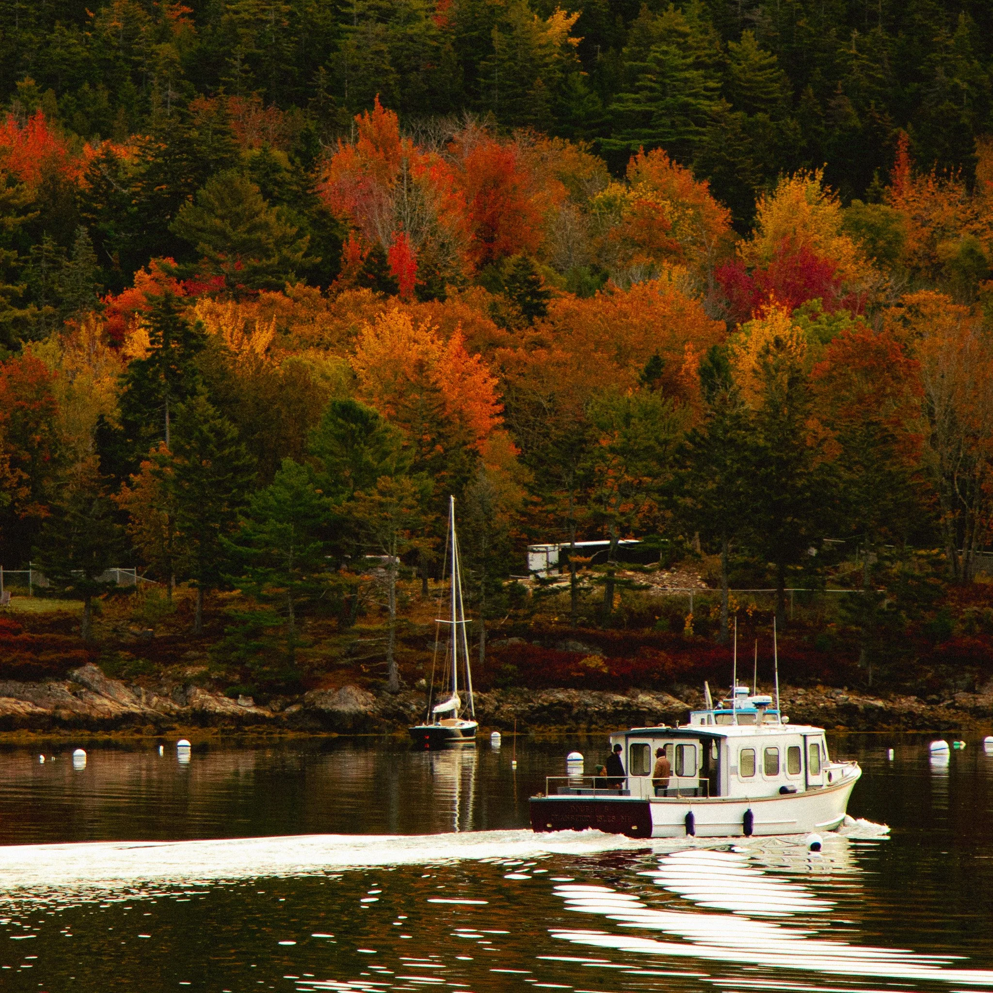 A small body of water with several sailboats docked, surrounded by trees with vibrant fall foliage, and a hillside covered in dense green and orange trees in the background.