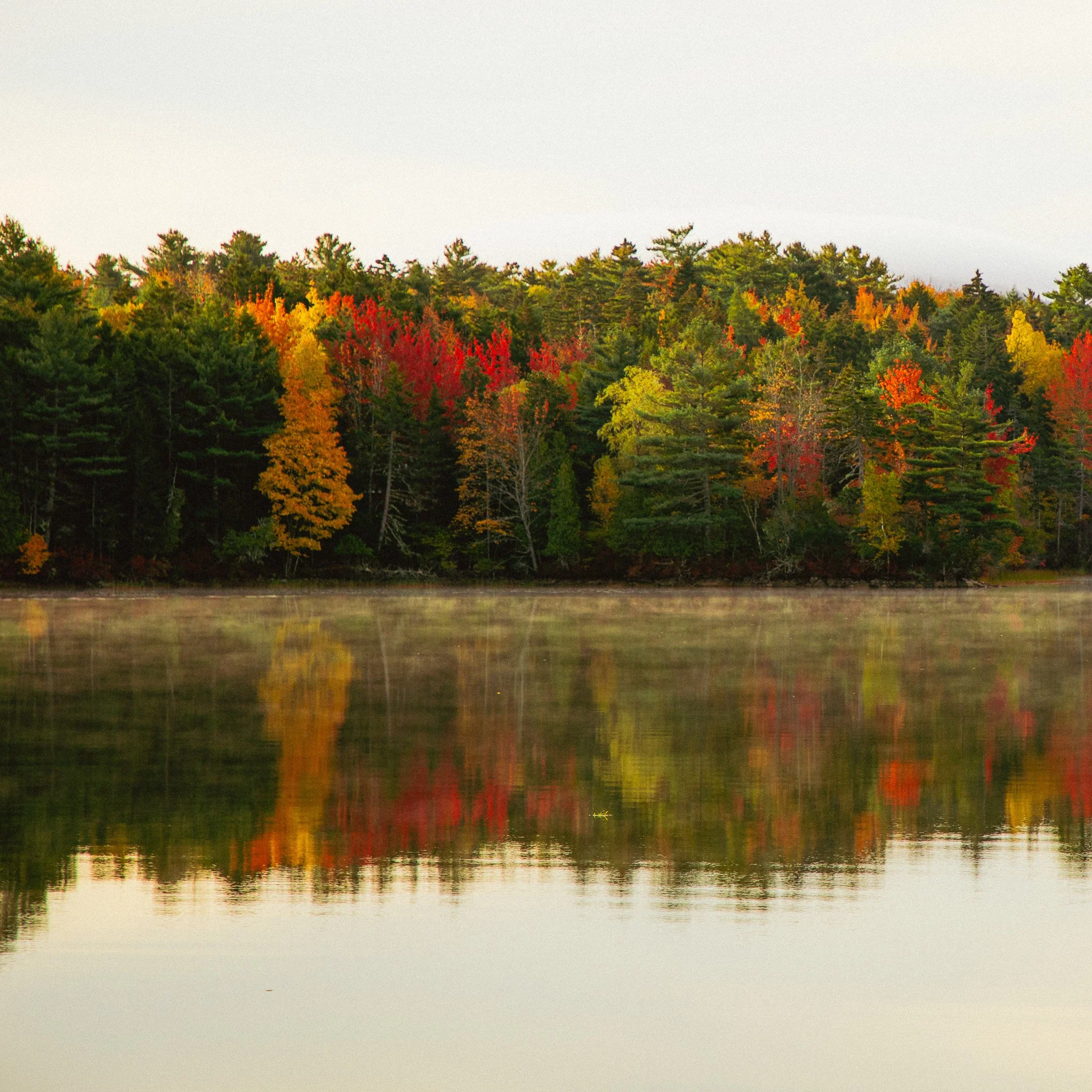 Calm lake with a reflection of a forest with autumn foliage with trees in red, yellow, and green, under a light, cloudy sky.