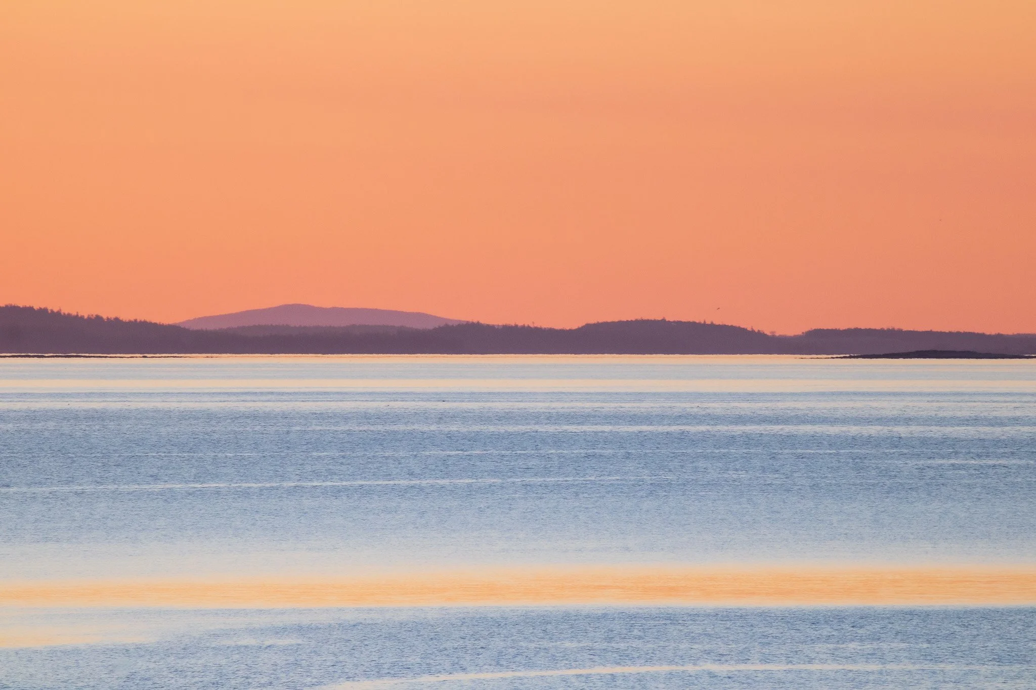 View of a serene body of water with small ripples, distant landmasses with trees, and a pastel-colored sky during sunset or sunrise.