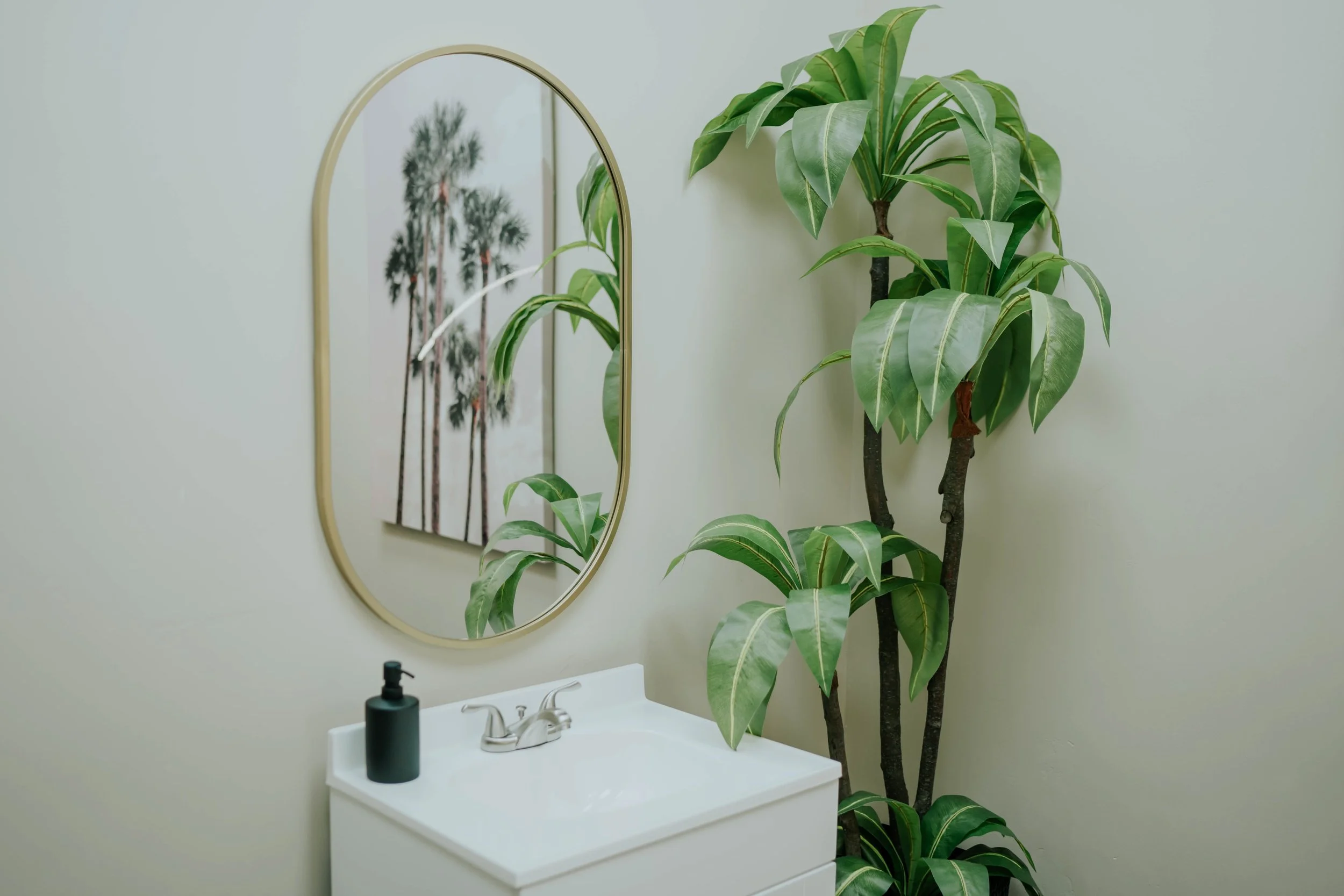 A bathroom with an oval mirror, a small white sink with a black soap dispenser, a large leafy green plant in the corner, and framed artwork of palm trees reflected in the mirror.