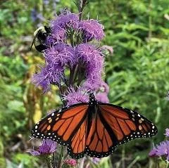 Flourish turns your property into a thriving, self-sustaining ecosystem.