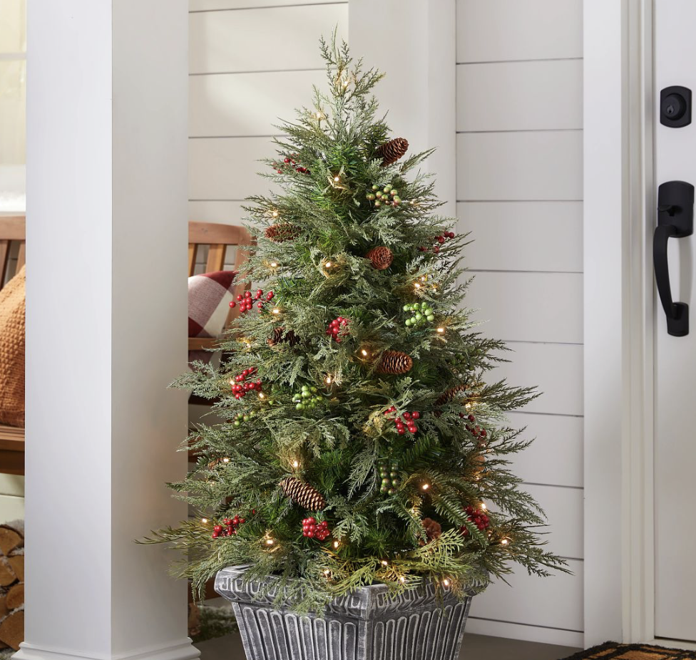 Festive Fir (delivered)