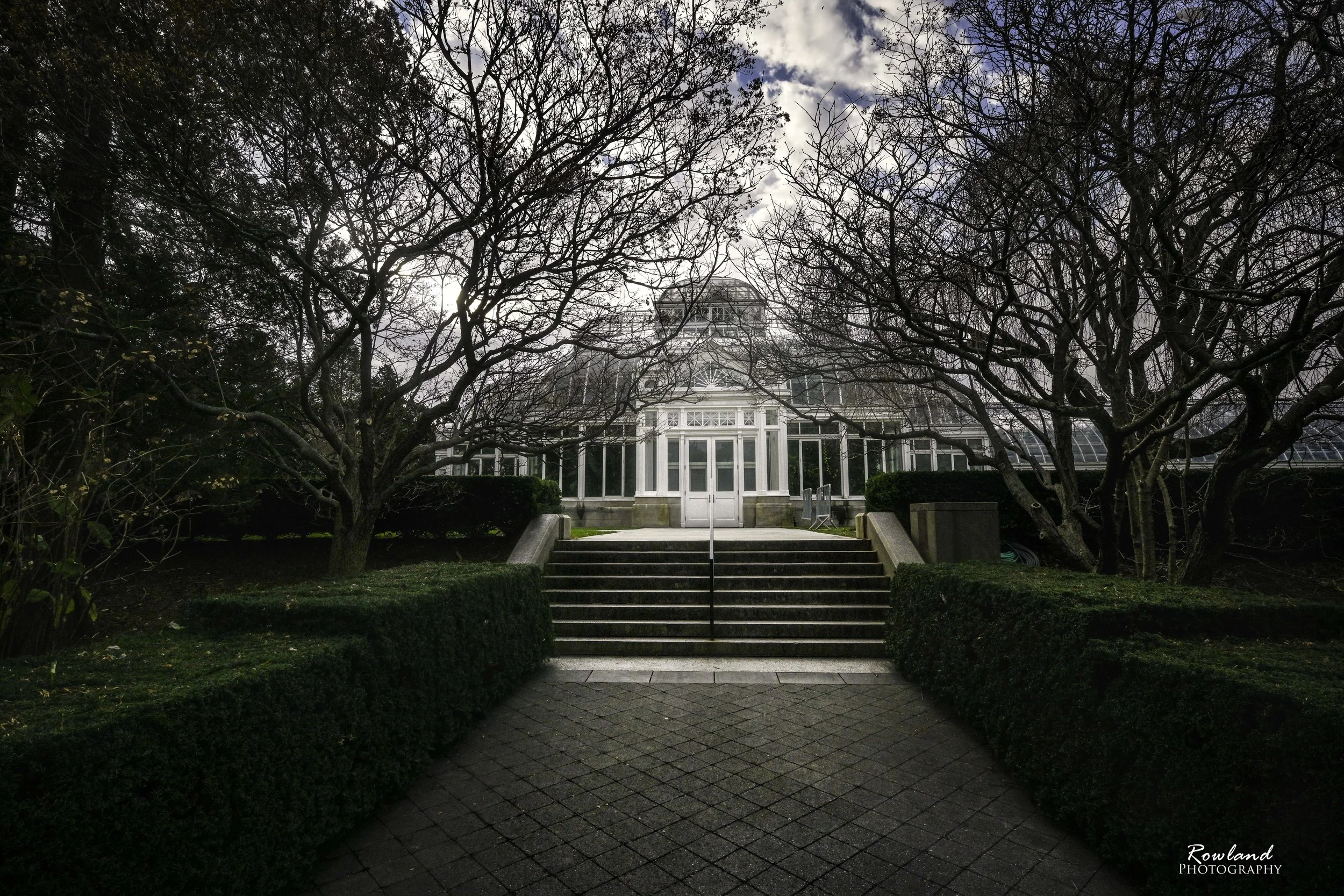 Steps to Conservatory_signed.jpg