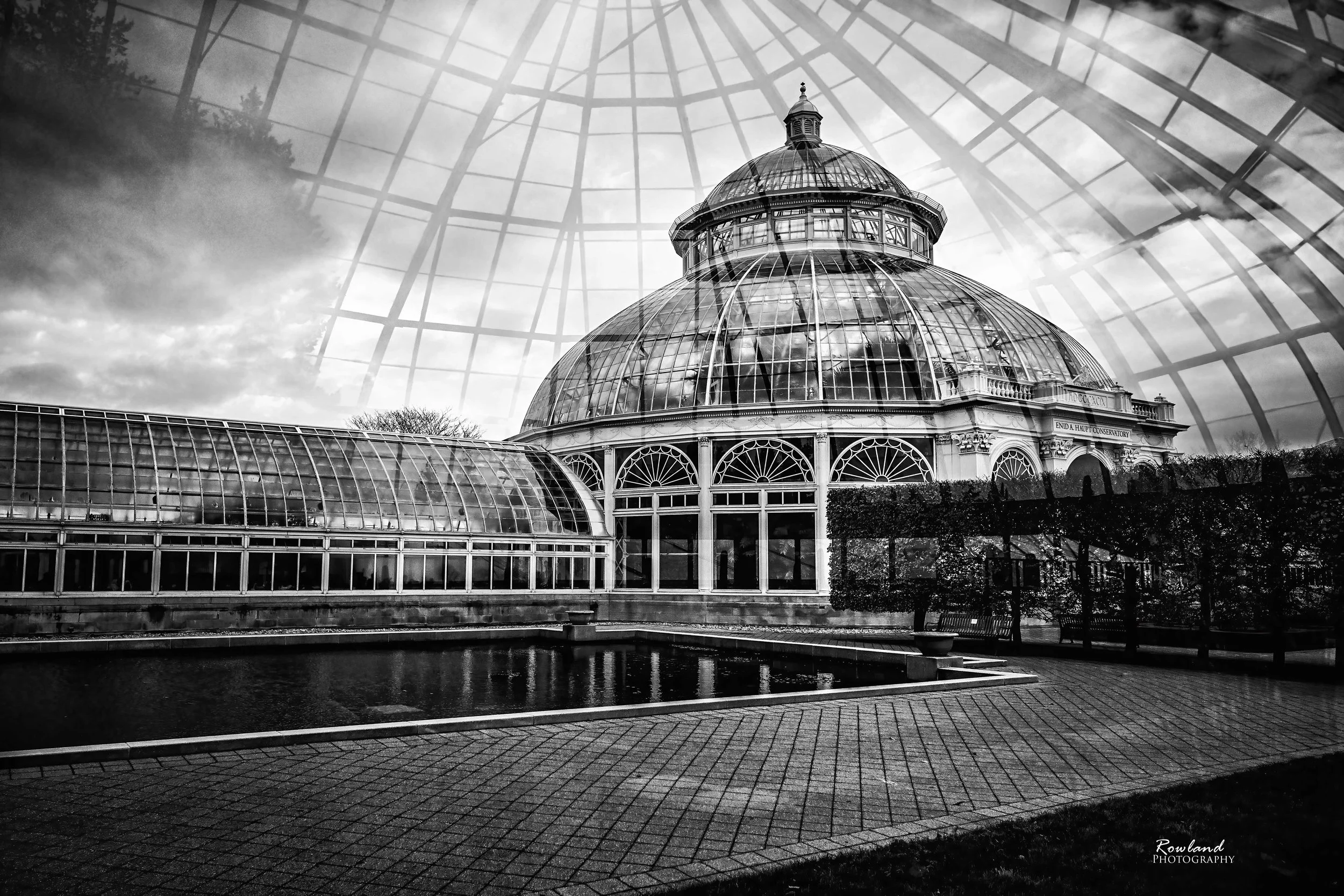 Reflections in Window_signed_LI.jpg