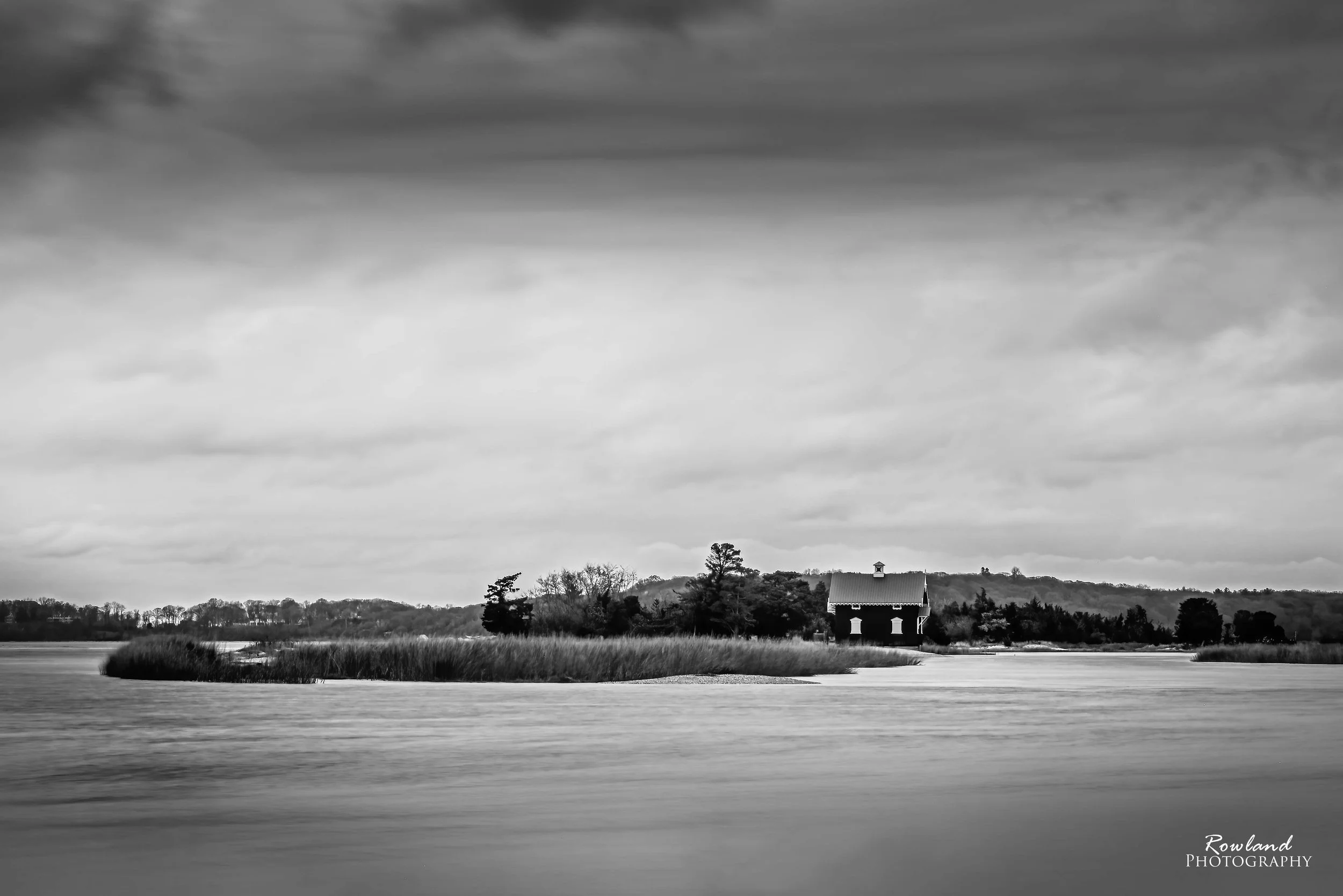 Long Exposure Gamecock 1_signed.jpg