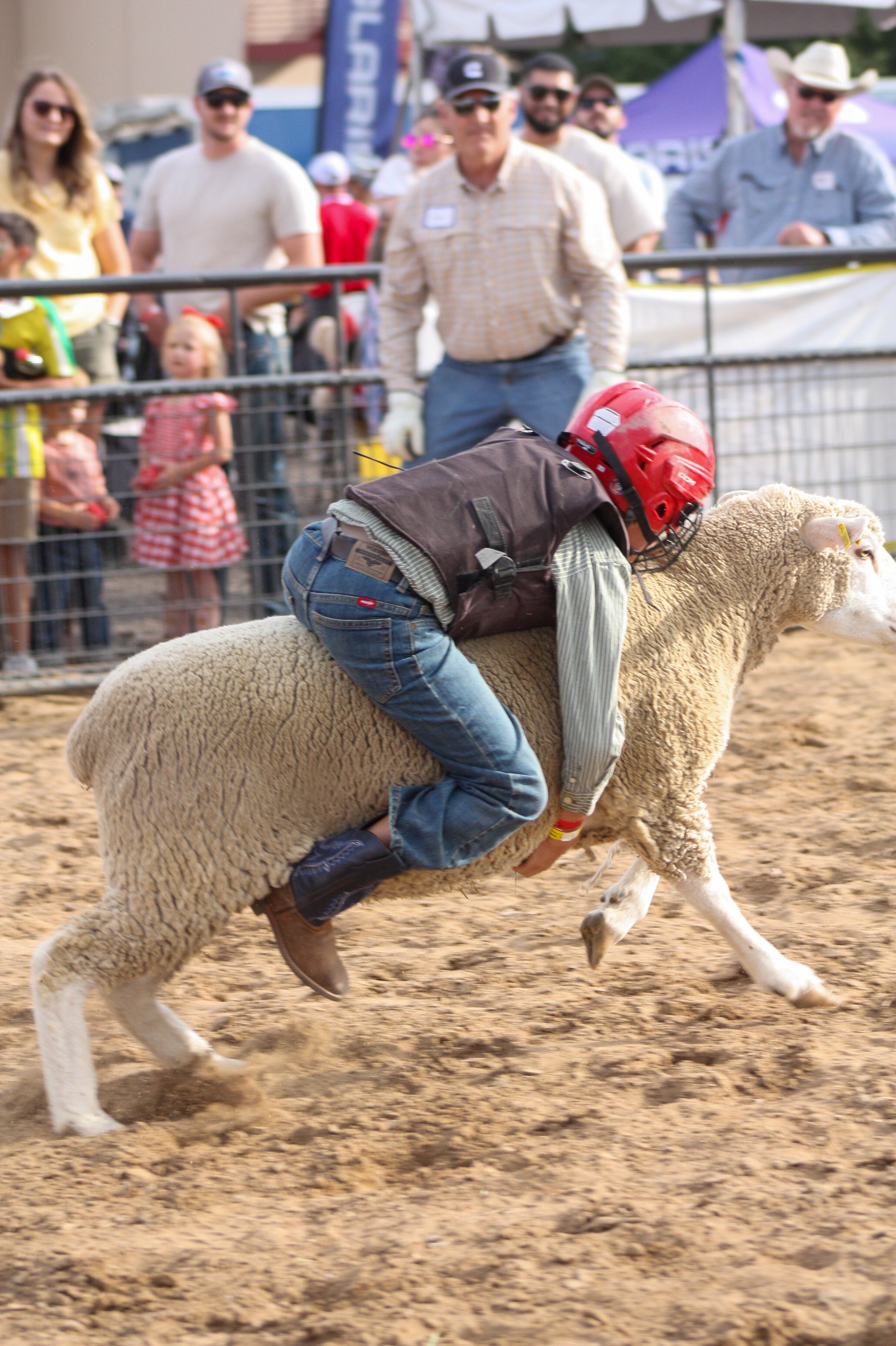 A person wearing a red helmet and brown vest riding a sheep at a livestock event. Spectators watch behind a fenced barrier.