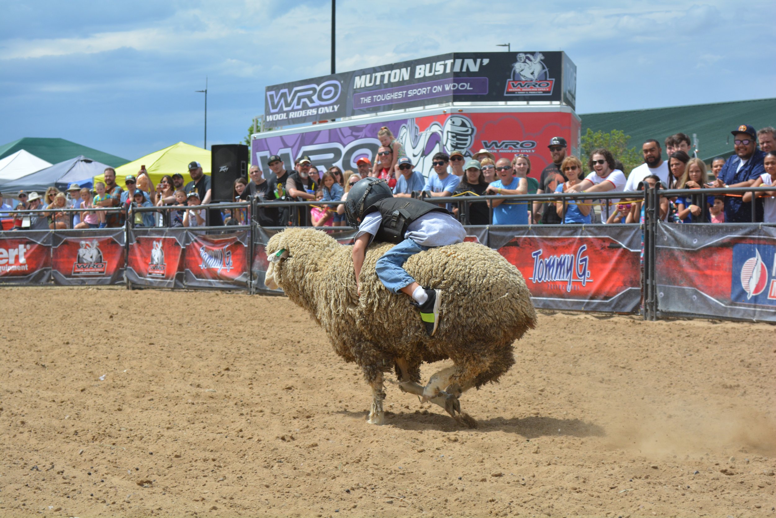 A young boy wearing a helmet and vest riding on a sheep during a rodeo event, with a crowd of spectators watching behind a barrier
