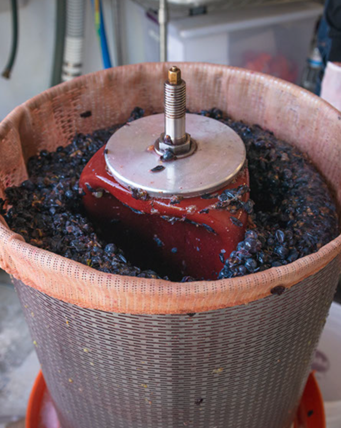 Grape stomping process with grapes and crushed grape skins around a metal spindle in a large container.