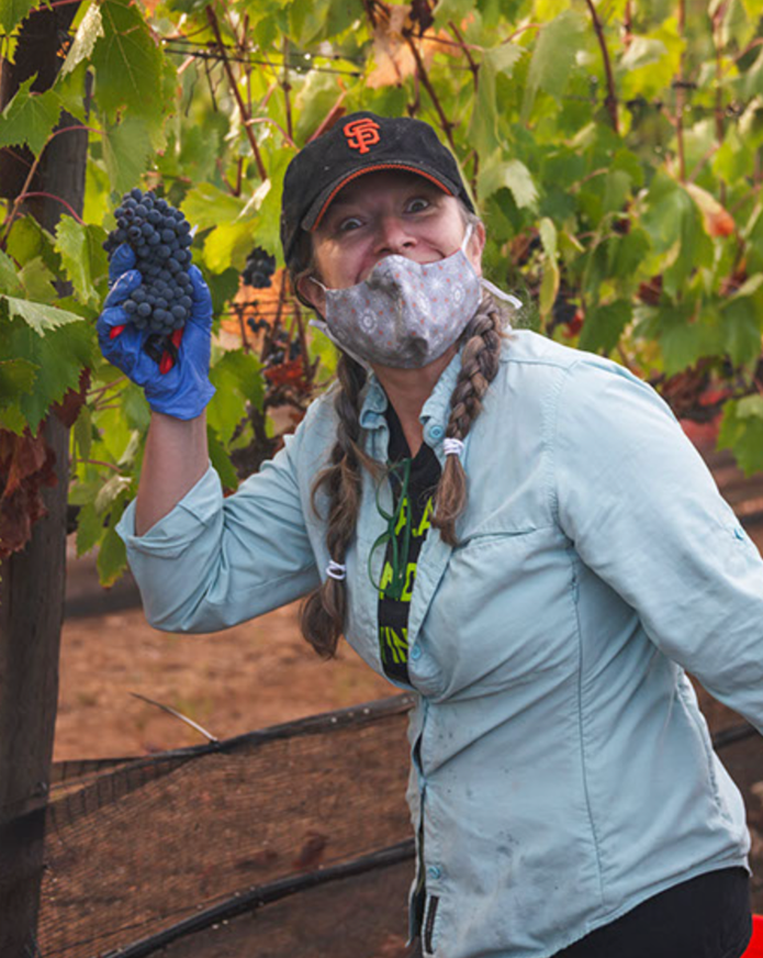 Woman in a vineyard holding a cluster of dark grapes, wearing a gray face mask, blue gloves, a light jacket, and a black cap with an orange logo.