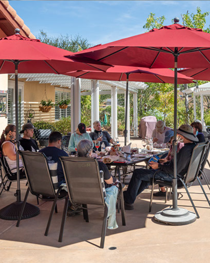 Friends and family eating lunch after helping in the vineyards