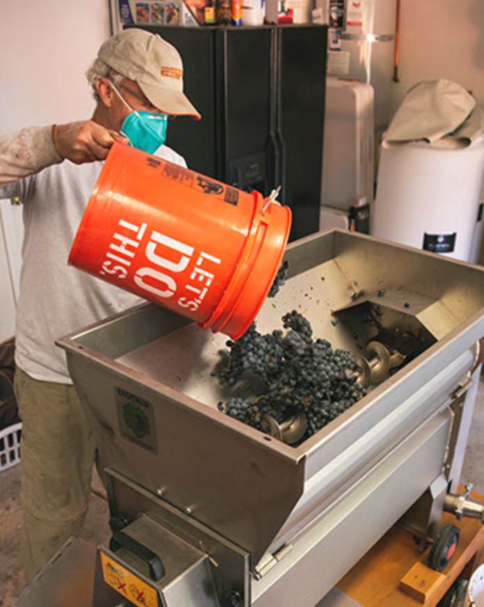 Person pouring crushed grapes into a wine or juice extraction machine in a winery or brewery setting.